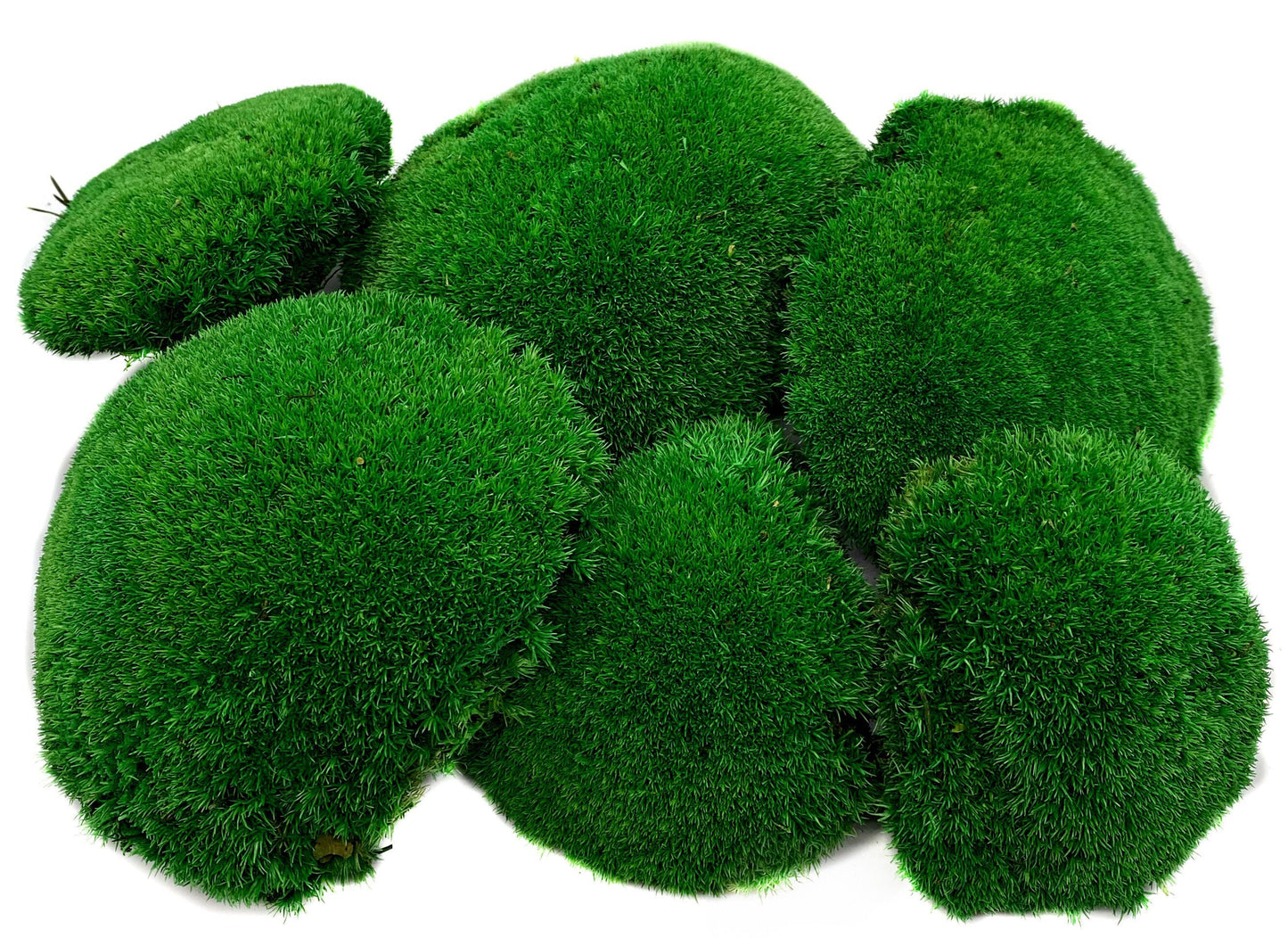 Preserved ball moss, pole moss, pillow moss, bulk moss, bun moss, natural moss, decorative moss, Bulk Wholesale