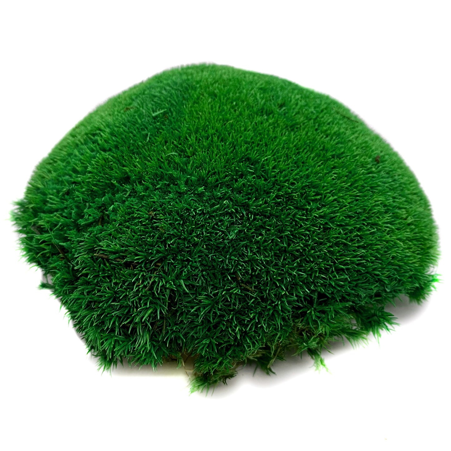 Preserved ball moss, pole moss, pillow moss, bulk moss, bun moss, natural moss, decorative moss, Bulk Wholesale