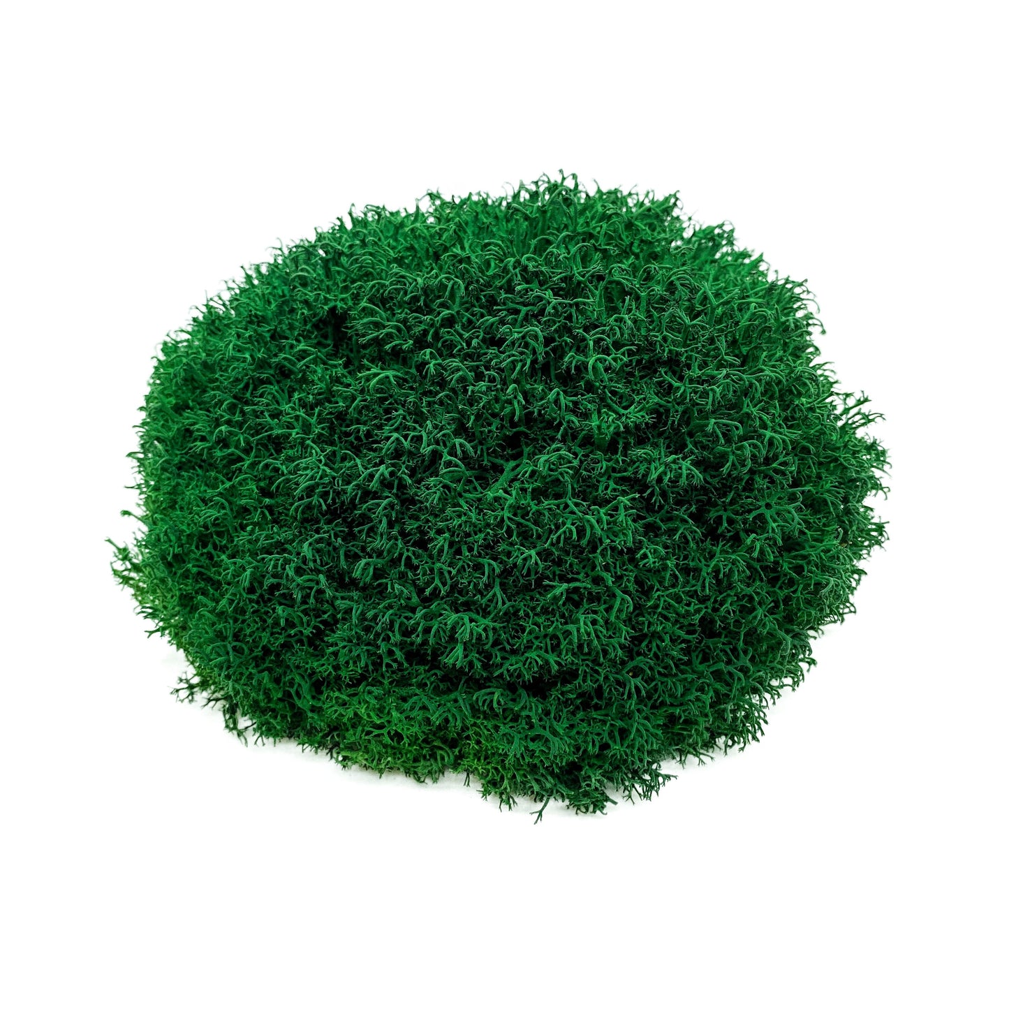 Preserved Royal Moss Dark Green, Stabilized Reindeer Lichen Moss, Decorative Real Moss, Natural Moss, Dry Moss, Terrariums Florists Decor