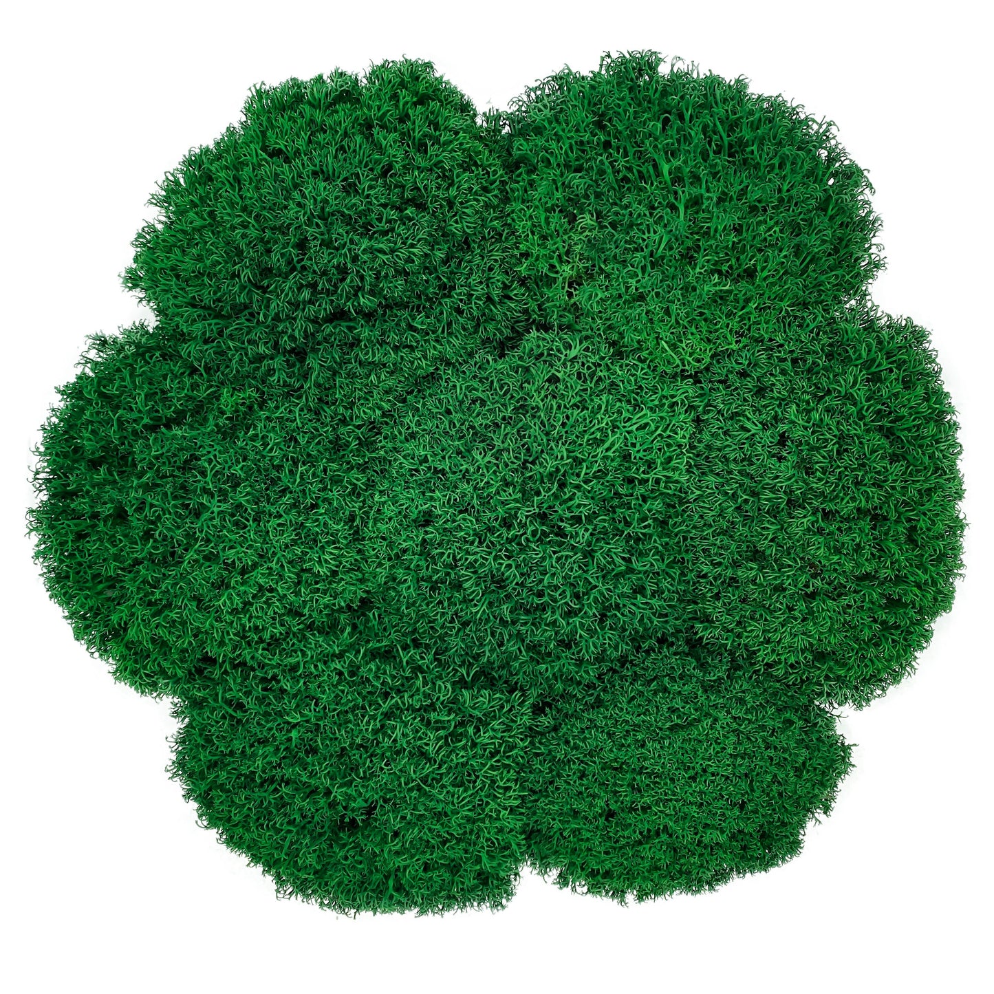 Preserved Royal Moss Dark Green, Stabilized Reindeer Lichen Moss, Decorative Real Moss, Natural Moss, Dry Moss, Terrariums Florists Decor