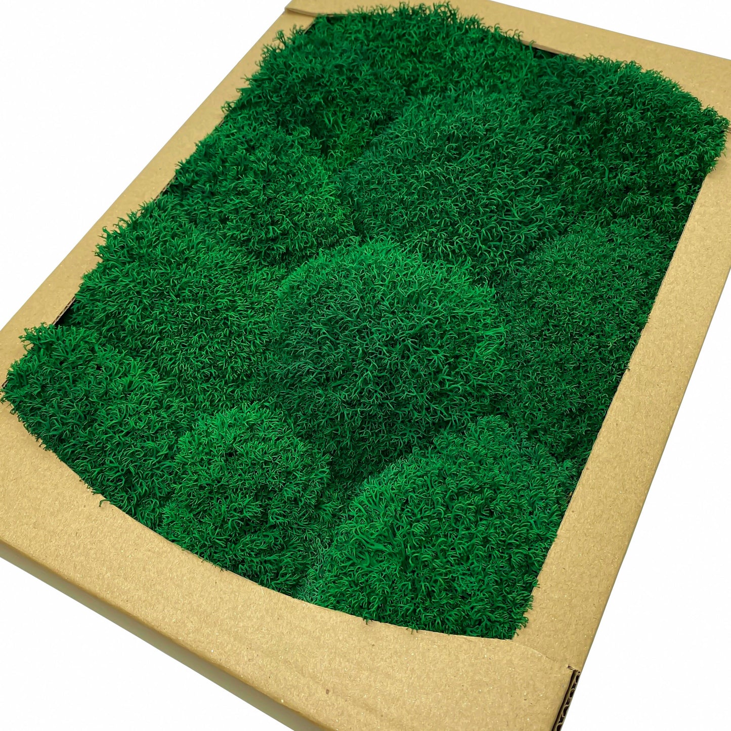 Preserved Royal Moss Dark Green, Stabilized Reindeer Lichen Moss, Decorative Real Moss, Natural Moss, Dry Moss, Terrariums Florists Decor