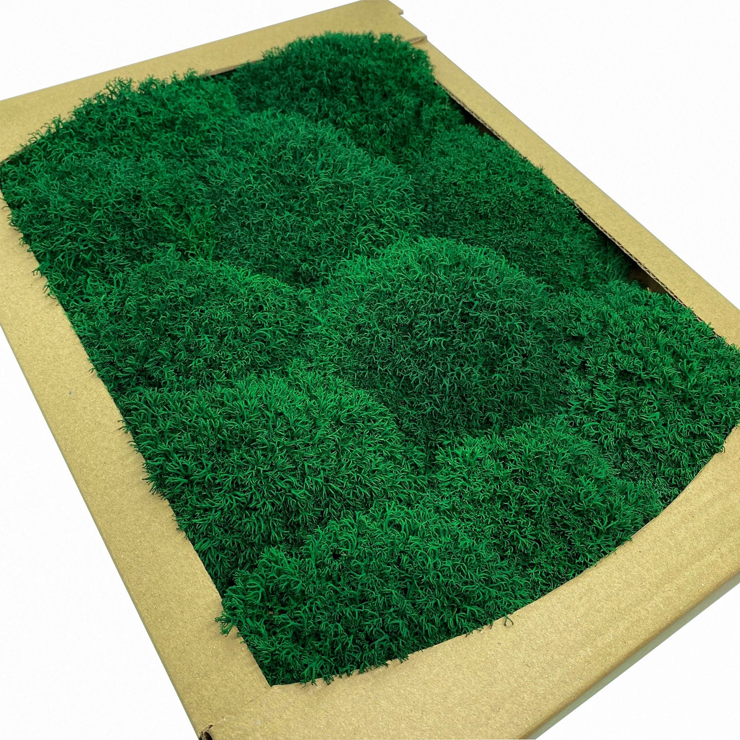 Preserved Royal Moss Dark Green, Stabilized Reindeer Lichen Moss, Decorative Real Moss, Natural Moss, Dry Moss, Terrariums Florists Decor