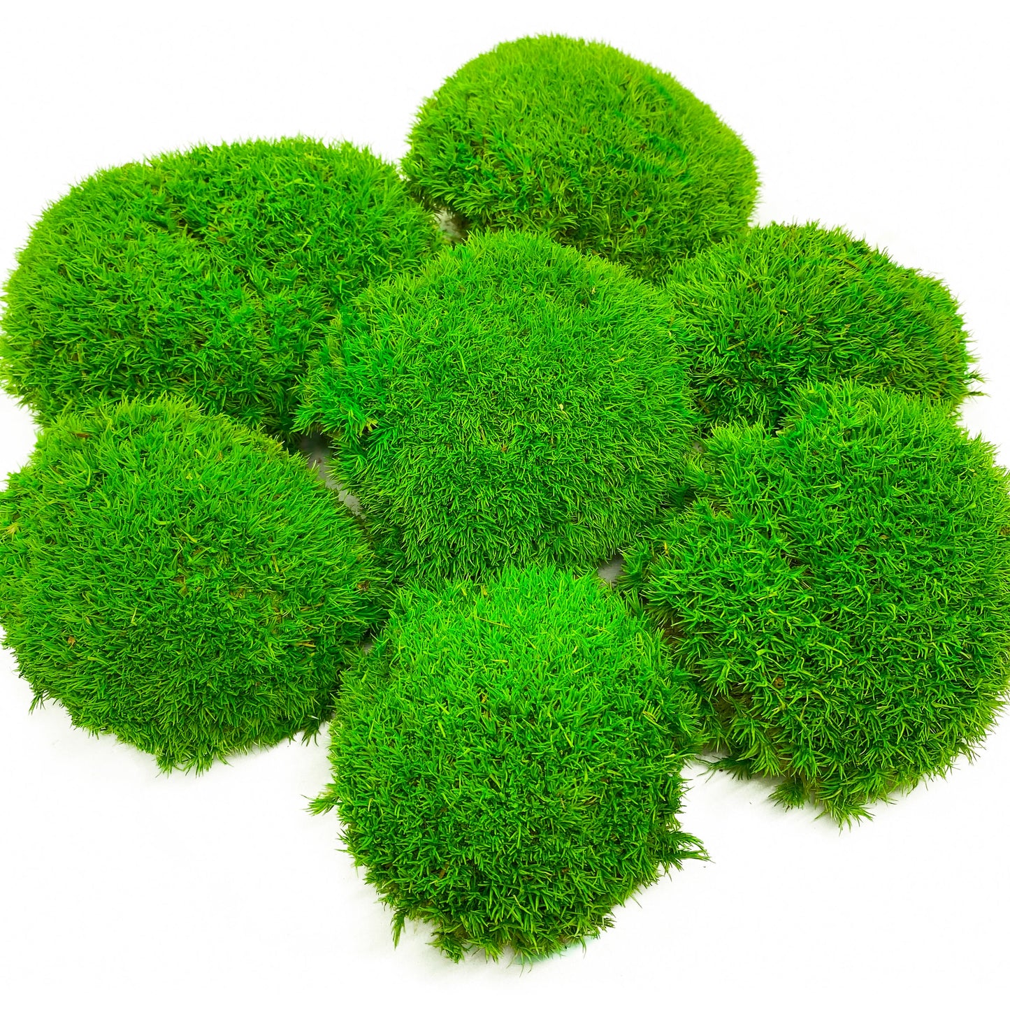 Preserved Ball Moss Green, Pillow Bun Moss, Stabilized Pole Moss, Decorative Natural Moss, Cushion Moss, Bulk Moss, Preserved Moss, Wall Art