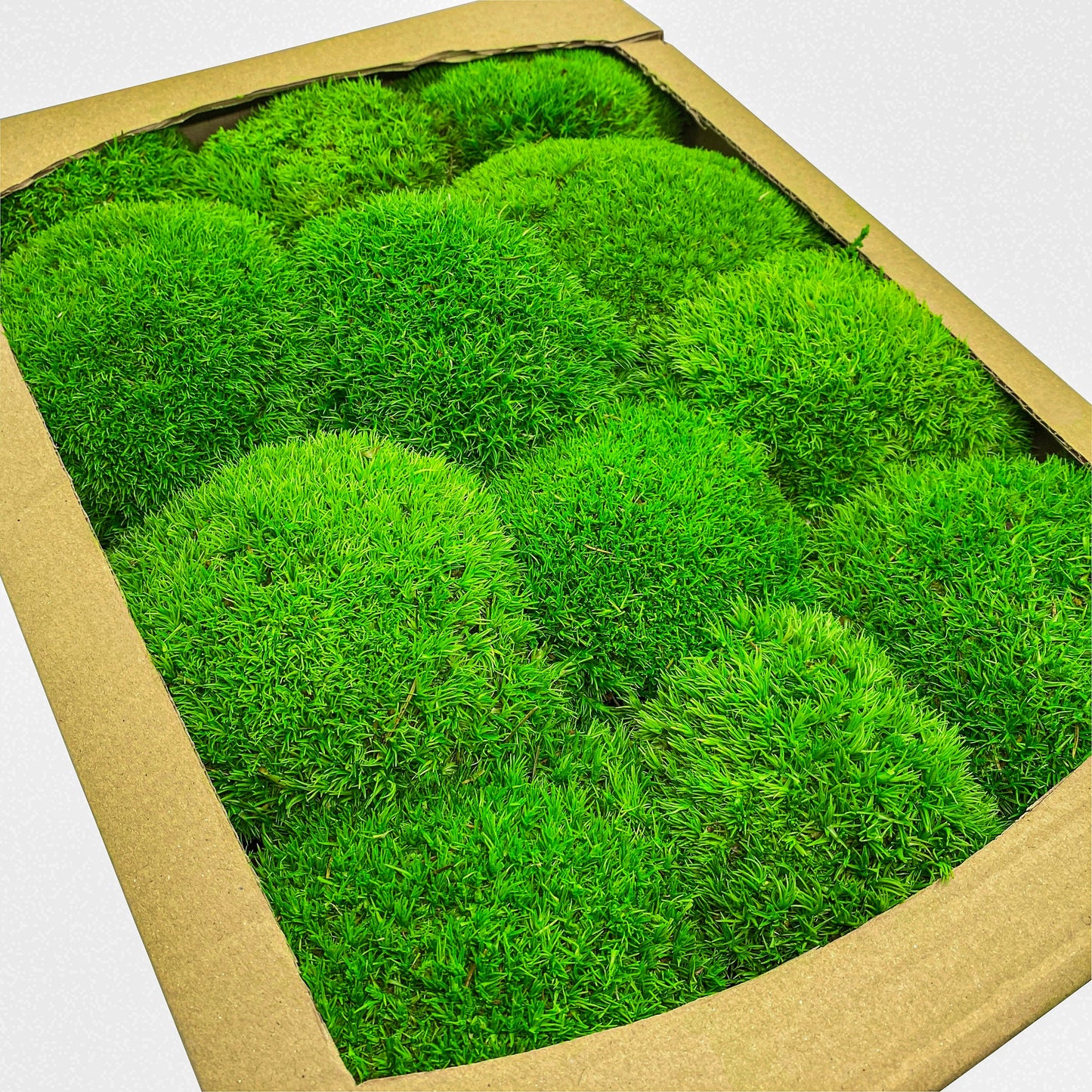 Preserved Ball Moss Green, Pillow Bun Moss, Stabilized Pole Moss, Decorative Natural Moss, Cushion Moss, Bulk Moss, Preserved Moss, Wall Art