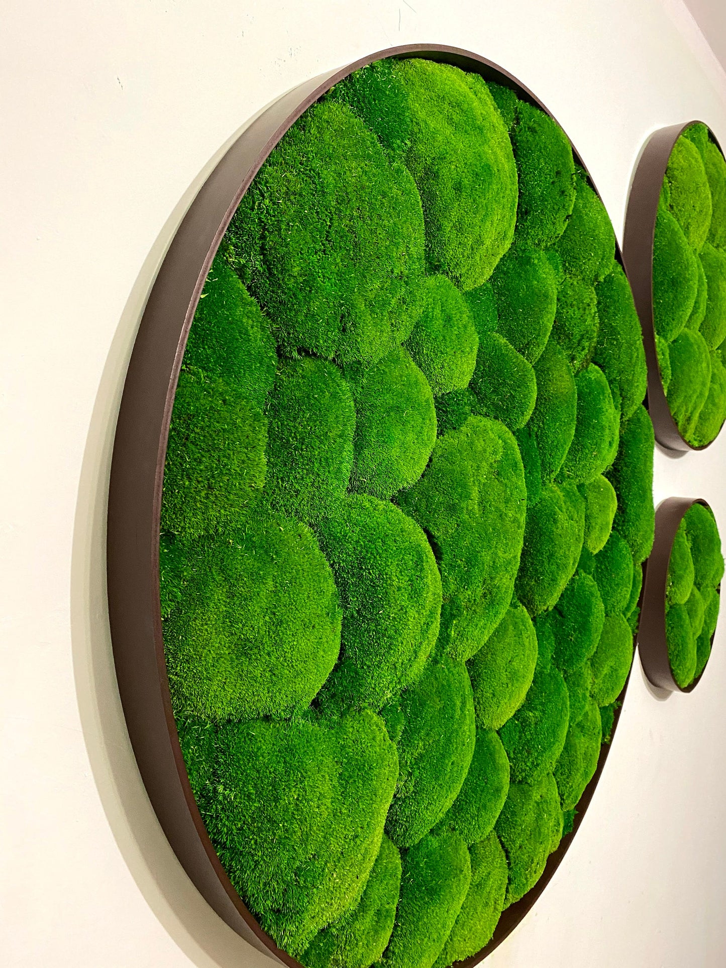 Preserved Ball Moss Green, Pillow Bun Moss, Stabilized Pole Moss, Decorative Natural Moss, Cushion Moss, Bulk Moss, Preserved Moss, Wall Art