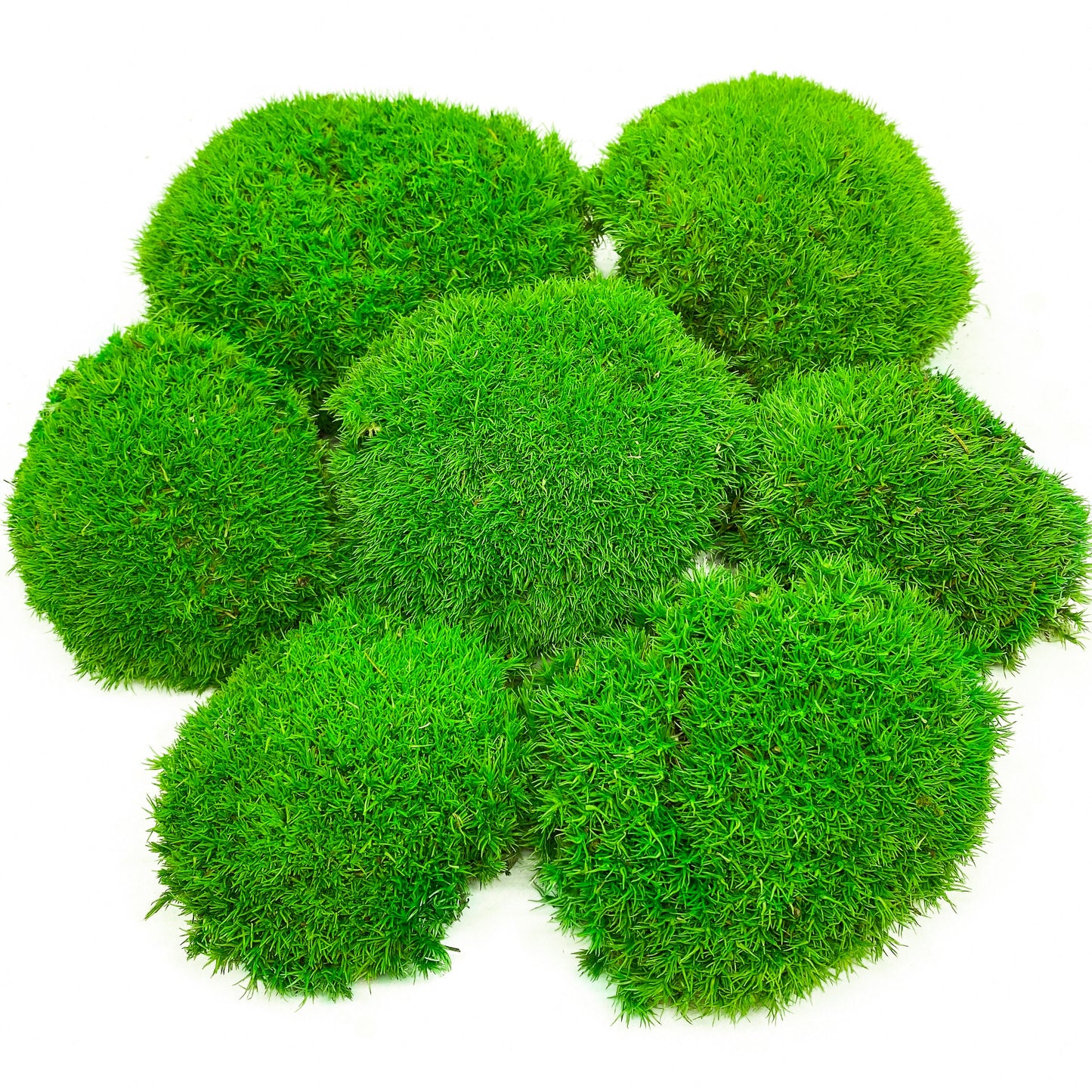Preserved Ball Moss Green, Pillow Bun Moss, Stabilized Pole Moss, Decorative Natural Moss, Cushion Moss, Bulk Moss, Preserved Moss, Wall Art