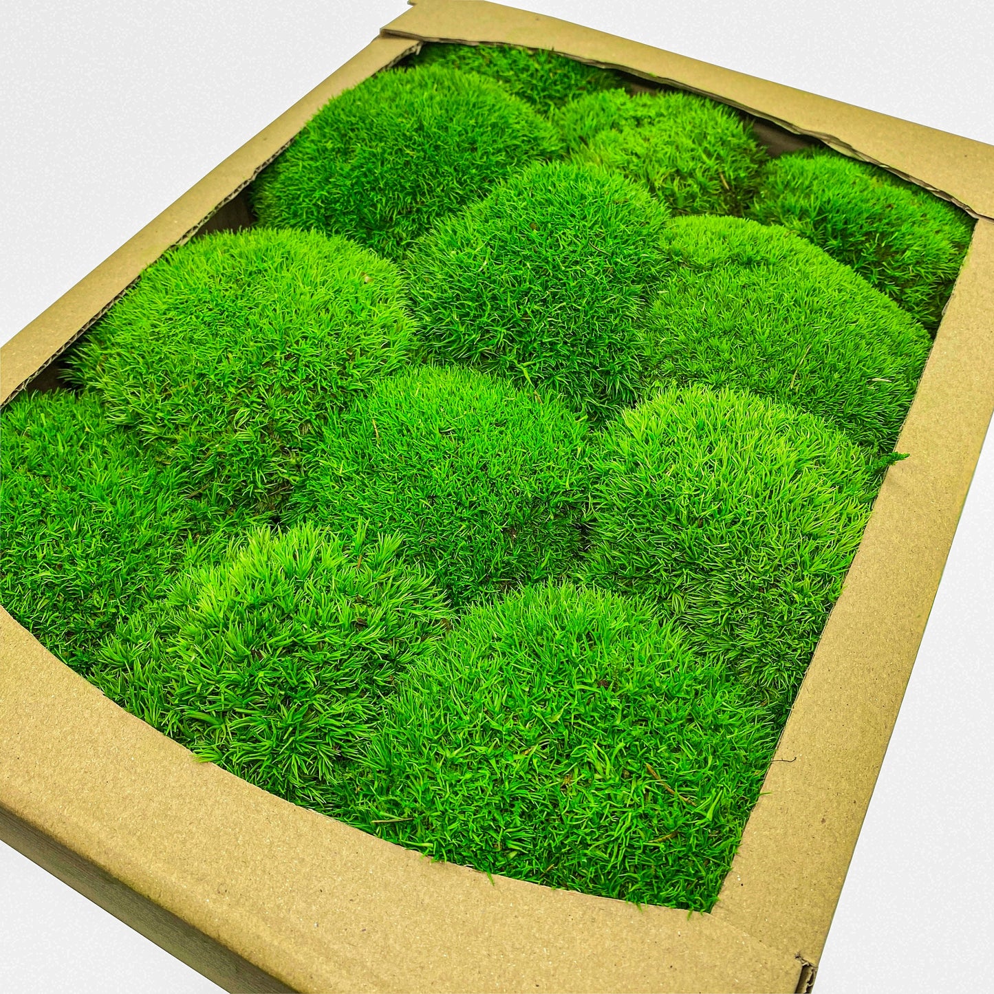 Preserved Ball Moss Green, Pillow Bun Moss, Stabilized Pole Moss, Decorative Natural Moss, Cushion Moss, Bulk Moss, Preserved Moss, Wall Art