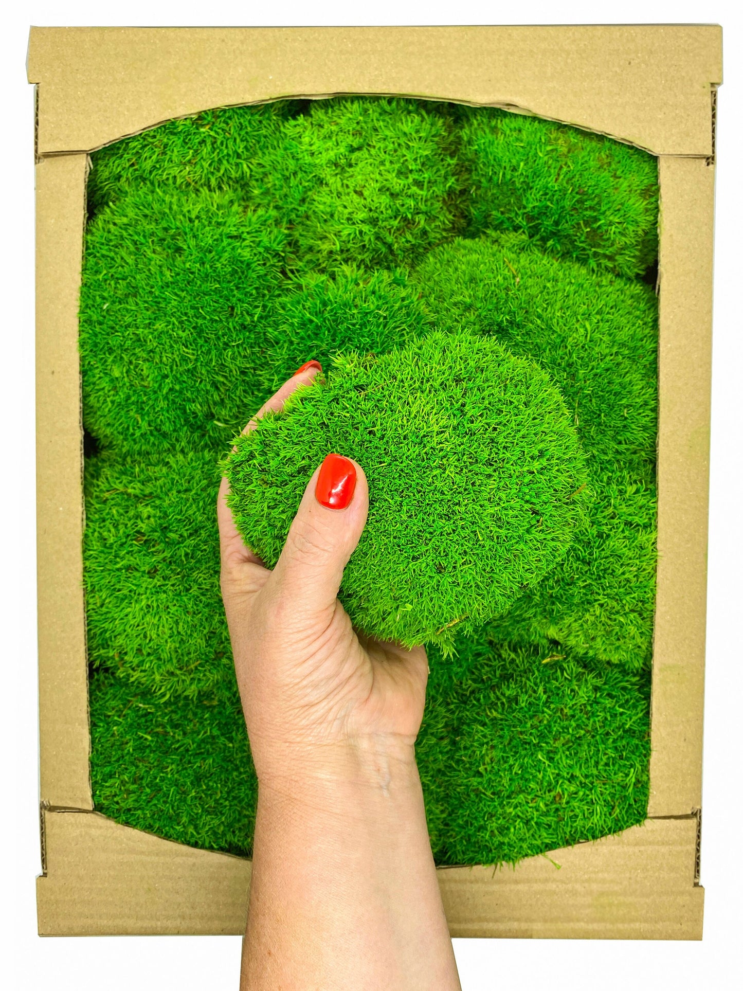 Preserved Ball Moss Green, Pillow Bun Moss, Stabilized Pole Moss, Decorative Natural Moss, Cushion Moss, Bulk Moss, Preserved Moss, Wall Art