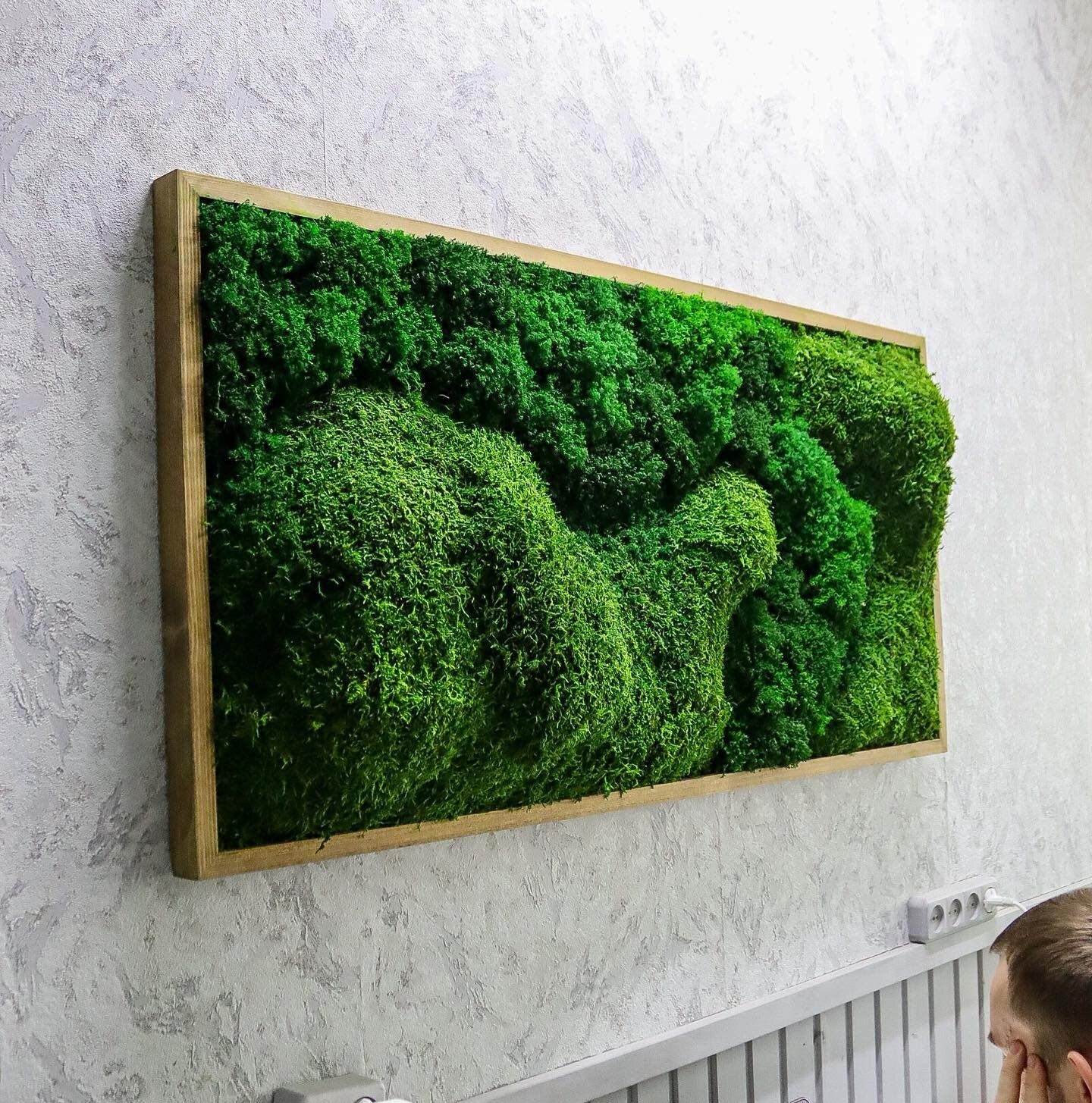 Natural Preserved Ball & Flat Moss Wall Art CAREFREE | VARIOUS-SIZE