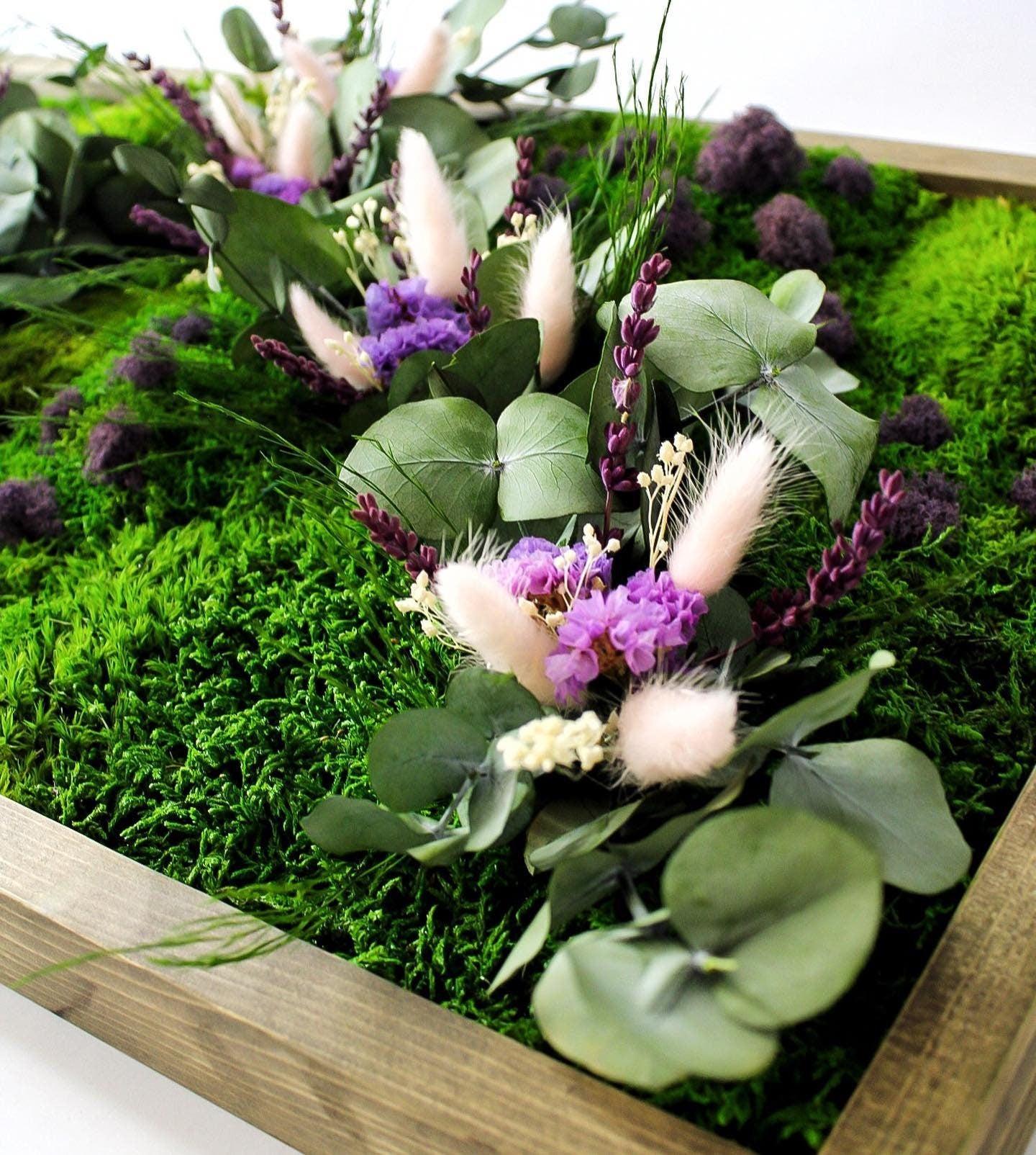 Eucalyptus & Lagurus Preserved Moss Wall Art CAREFREE | VARIOUS-SIZE