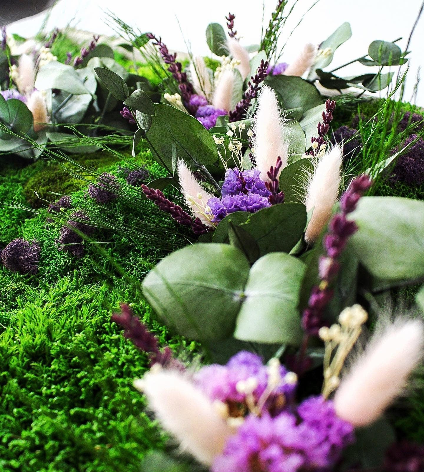 Eucalyptus & Lagurus Preserved Moss Wall Art CAREFREE | VARIOUS-SIZE