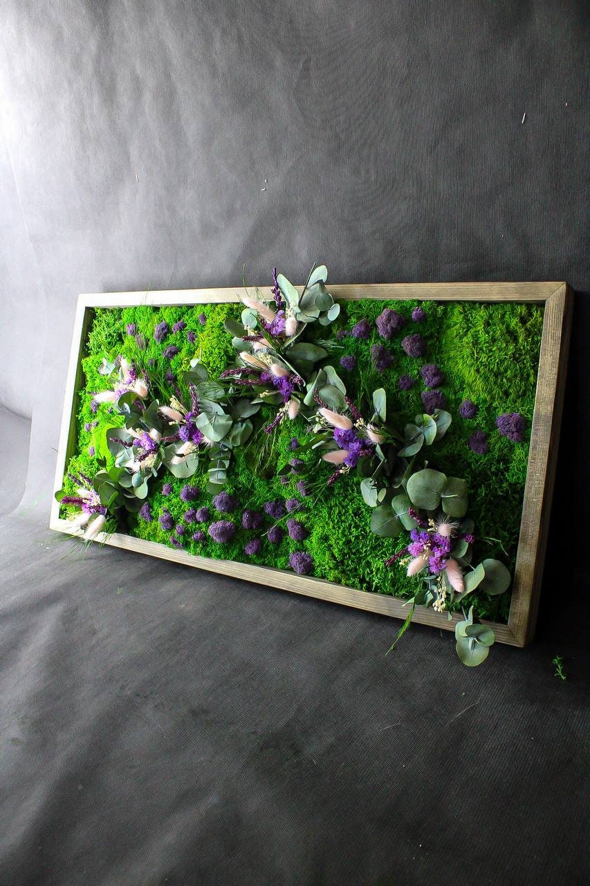 Eucalyptus & Lagurus Preserved Moss Wall Art CAREFREE | VARIOUS-SIZE