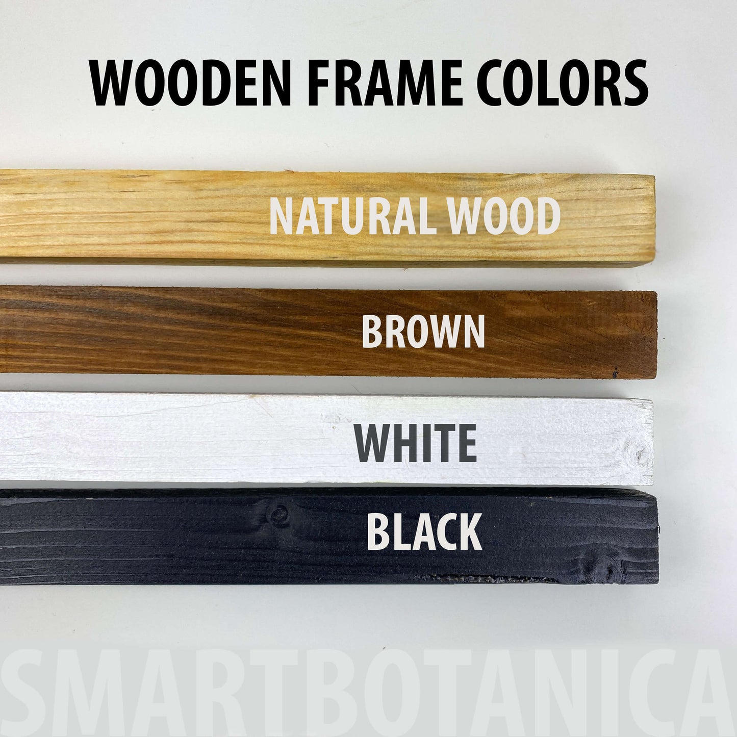 Artisan Moss & Bark Wall Art | Sustainable Home Decor