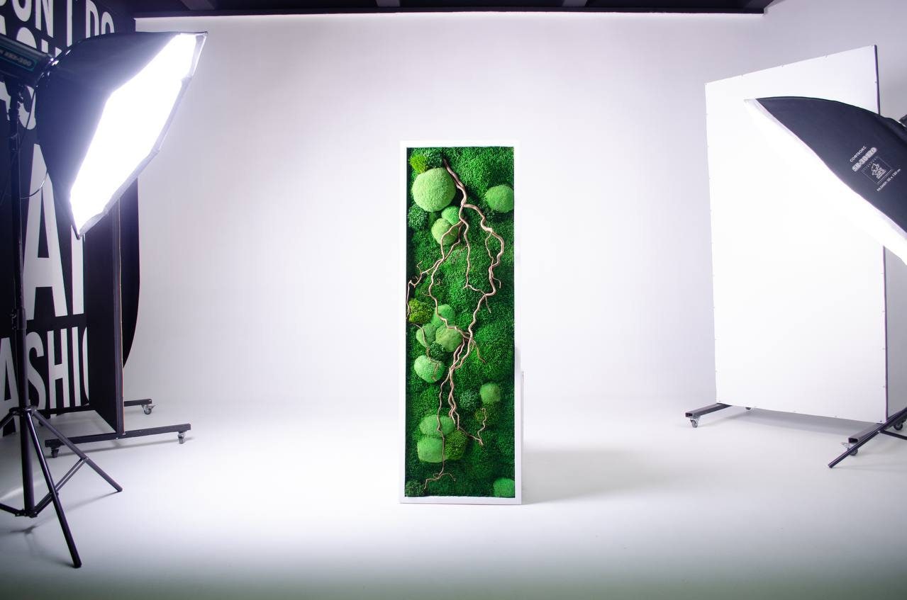 Zen Moss & Matsudana Willow Branch Wall Art | Preserved Moss Decor for Homes, Offices, and Spas | Unique Eco-Friendly Botanical Design