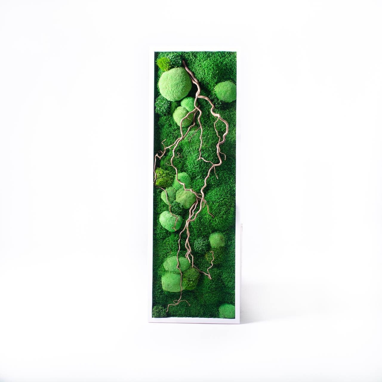Zen Moss & Matsudana Willow Branch Wall Art | Preserved Moss Decor for Homes, Offices, and Spas | Unique Eco-Friendly Botanical Design