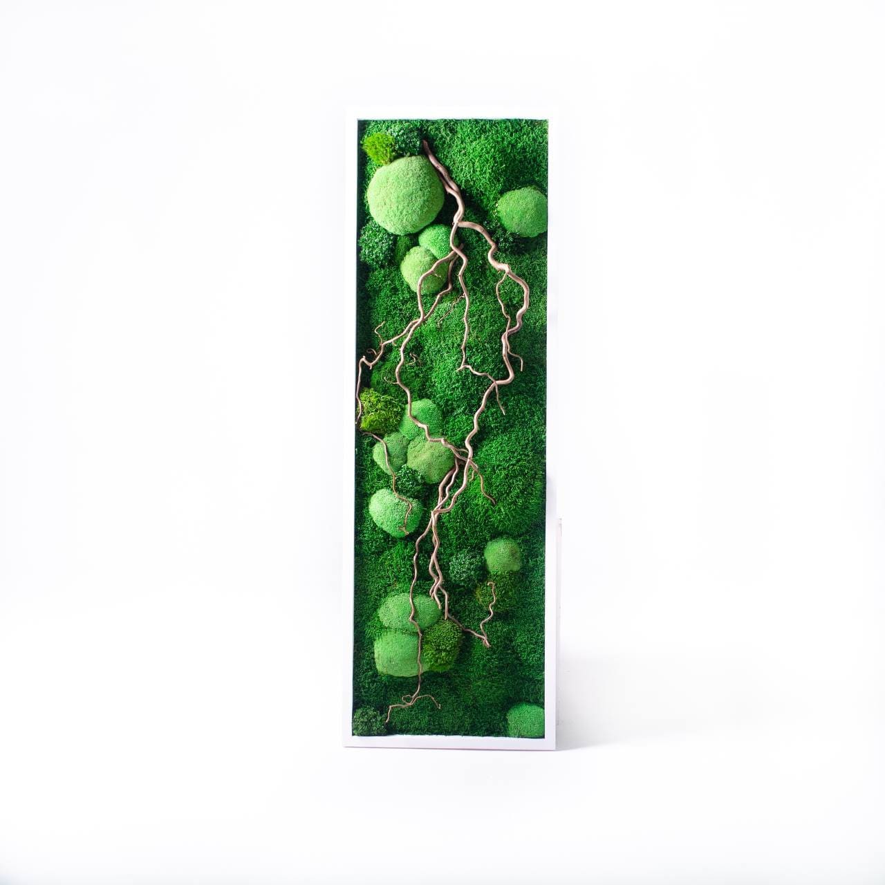 Twisted Branches Preserved Moss Wall Art, Unique Gift, CAREFREE | VARIOUS-SIZE