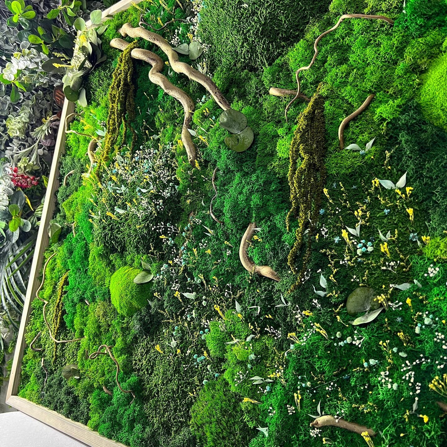 Woodland Whispers Moss Wall Art Preserved Provance, Royal Lichen Ball Mosses & Twisted Branches, Dried Flowers