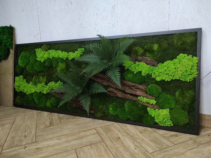 Everlasting Green Preserved Moss Wall Art, Wooden Bark, Fern | 100% NATURAL, CAREFREE & Various SIZES
