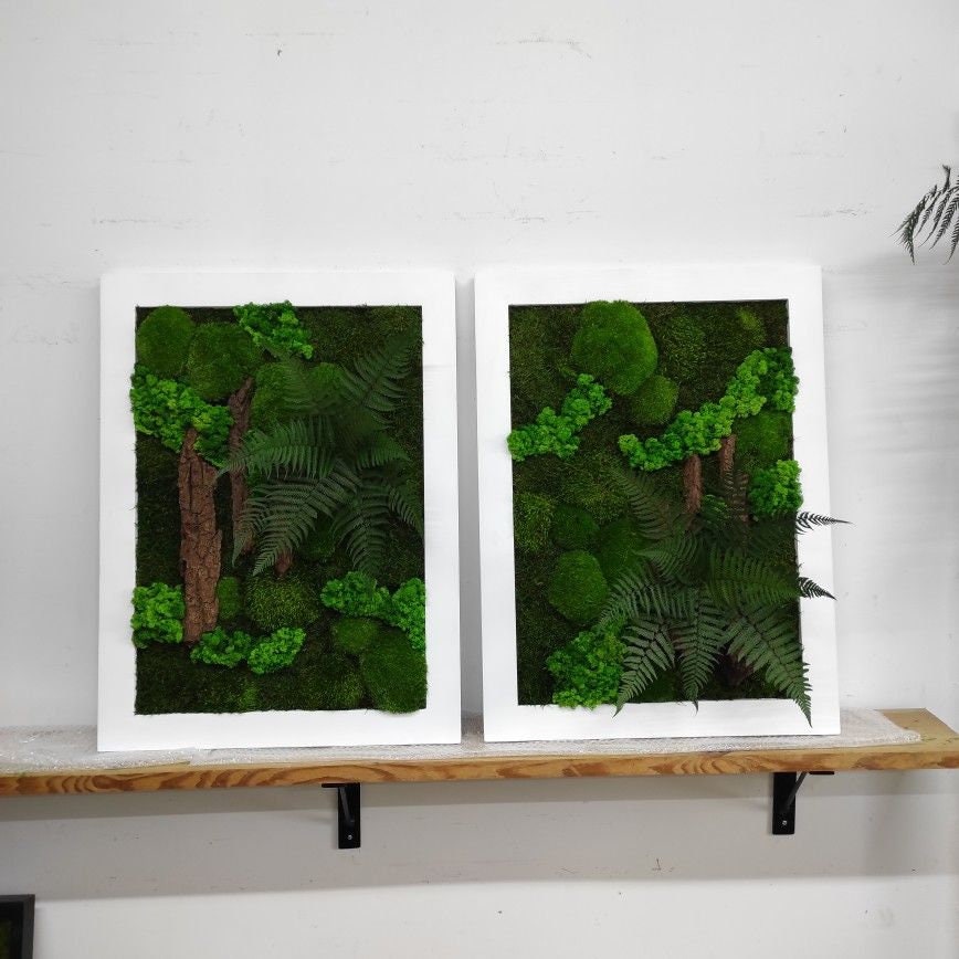 Rustic Elegance Preserved Moss Wall Art, Bark, Ferns | Eco-Friendly, CAREFREE & VARIOUS SIZES