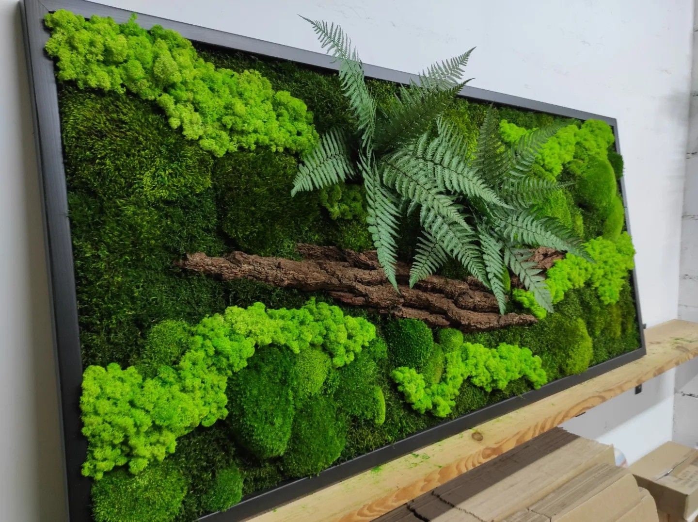 Rustic Elegance Preserved Moss Wall Art, Bark, Ferns | Eco-Friendly, CAREFREE & VARIOUS SIZES