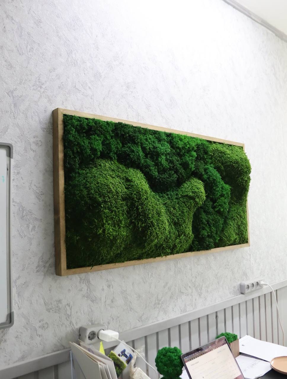 Natural Preserved Ball & Flat Moss Wall Art CAREFREE | VARIOUS-SIZE