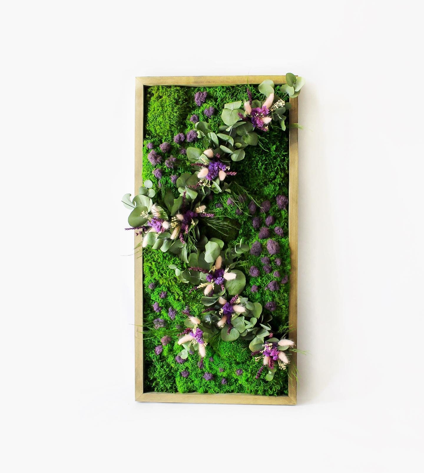 Eucalyptus & Lagurus Preserved Moss Wall Art CAREFREE | VARIOUS-SIZE