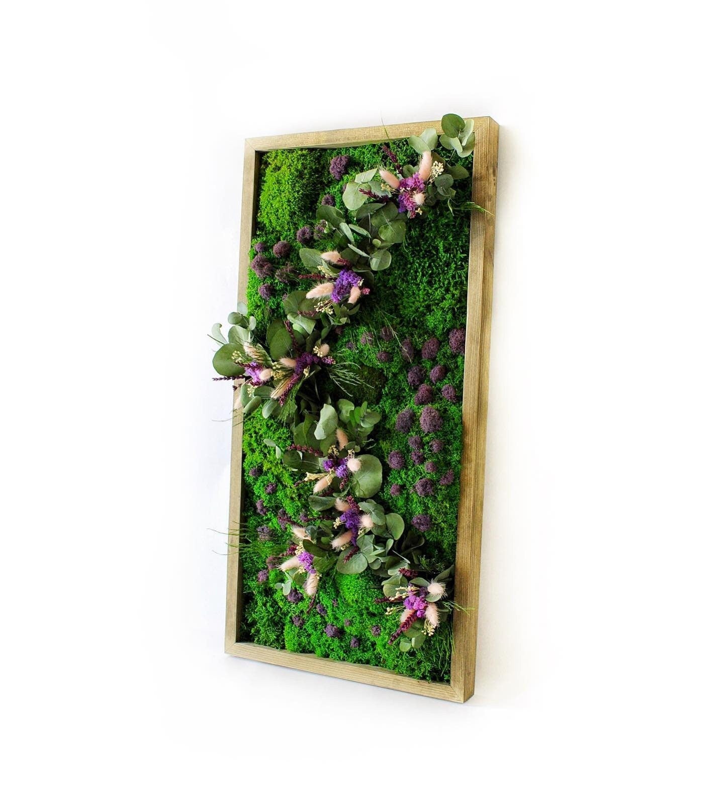 Eucalyptus & Lagurus Preserved Moss Wall Art CAREFREE | VARIOUS-SIZE