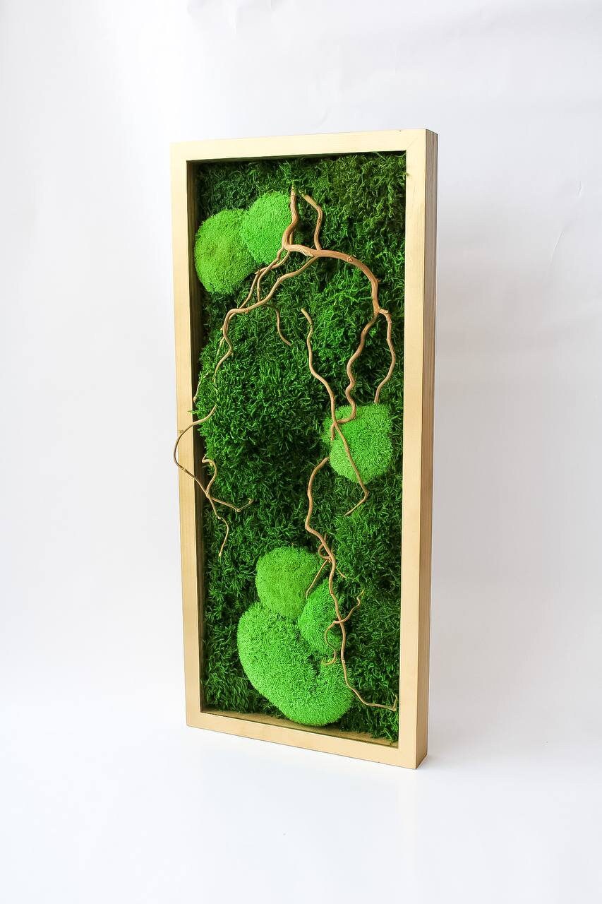 Twisted Branches Preserved Moss Wall Art, Unique Gift, CAREFREE | VARIOUS-SIZE