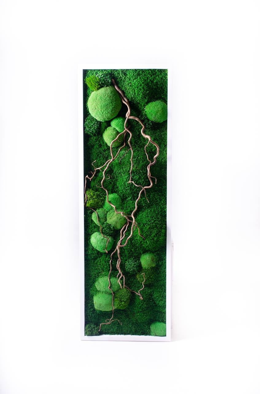 Twisted Branches Preserved Moss Wall Art, Unique Gift, CAREFREE | VARIOUS-SIZE