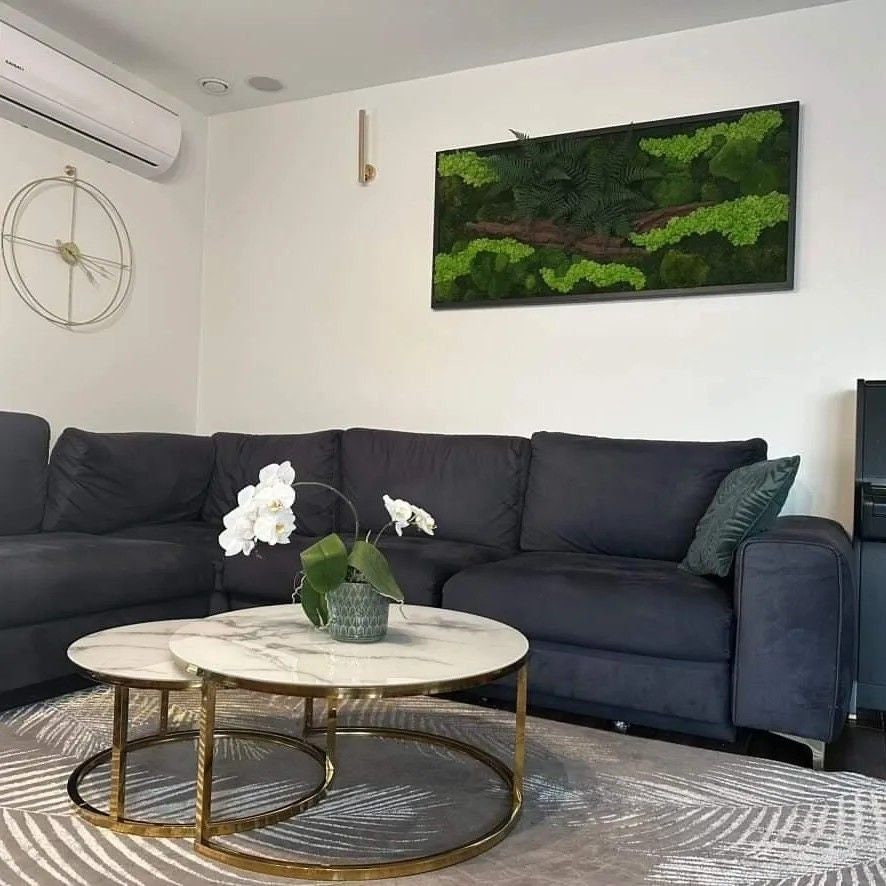 Rustic Elegance Preserved Moss Wall Art, Bark, Ferns | Eco-Friendly, CAREFREE & VARIOUS SIZES