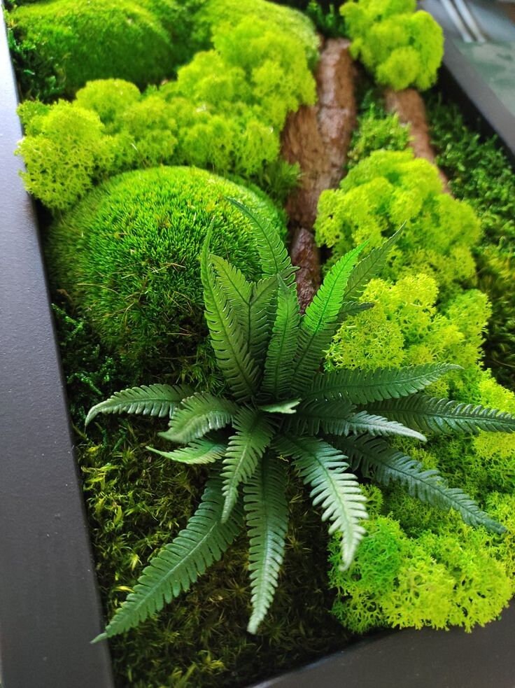 Everlasting Green Preserved Moss Wall Art, Wooden Bark, Fern | 100% NATURAL, CAREFREE & Various SIZES