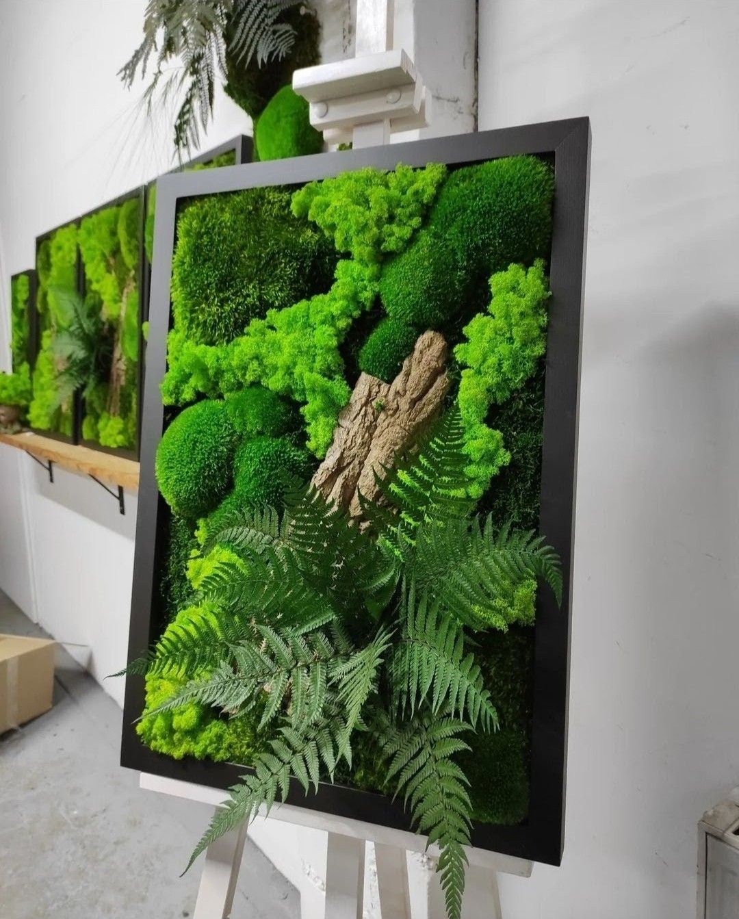 Rustic Elegance Preserved Moss Wall Art, Bark, Ferns | Eco-Friendly, CAREFREE & VARIOUS SIZES