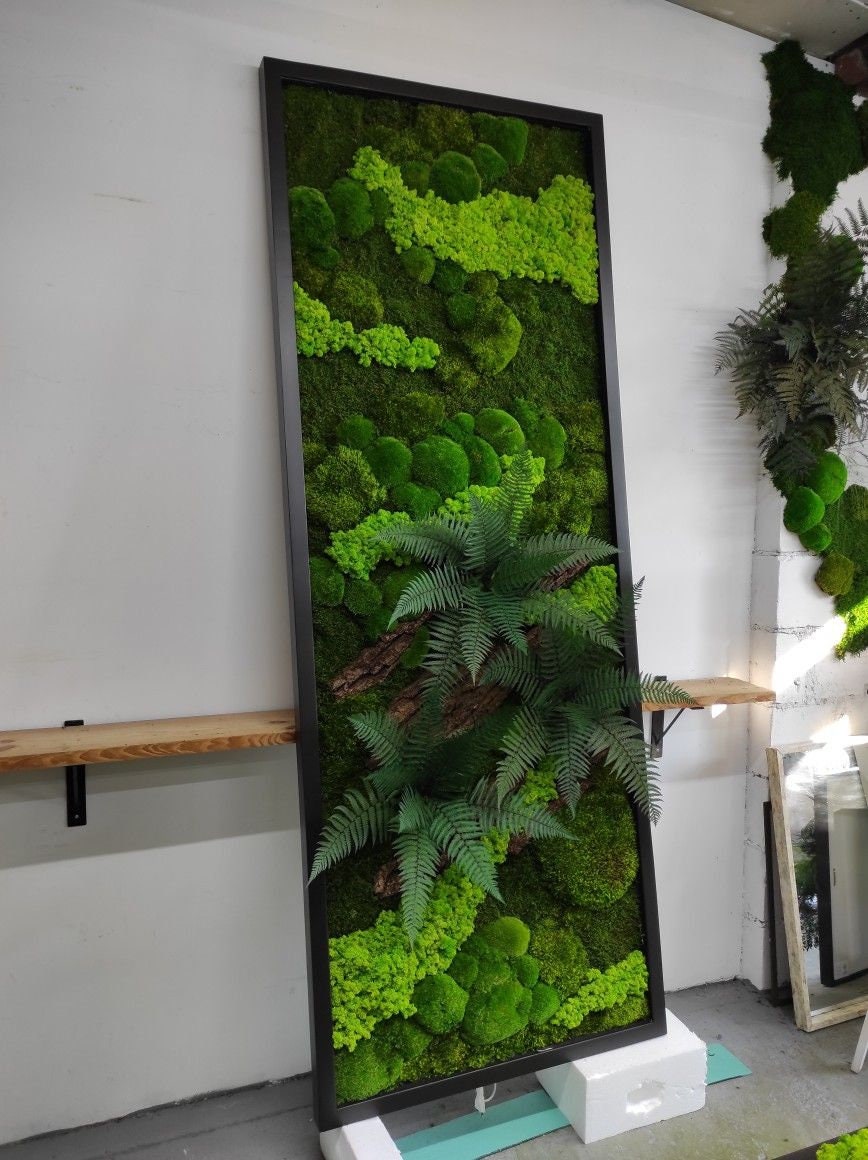 Rustic Elegance Preserved Moss Wall Art, Bark, Ferns | Eco-Friendly, CAREFREE & VARIOUS SIZES