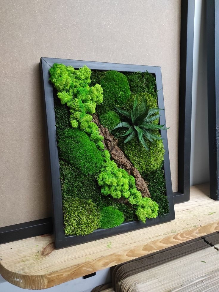 Rustic Elegance Preserved Moss Wall Art, Bark, Ferns | Eco-Friendly, CAREFREE & VARIOUS SIZES