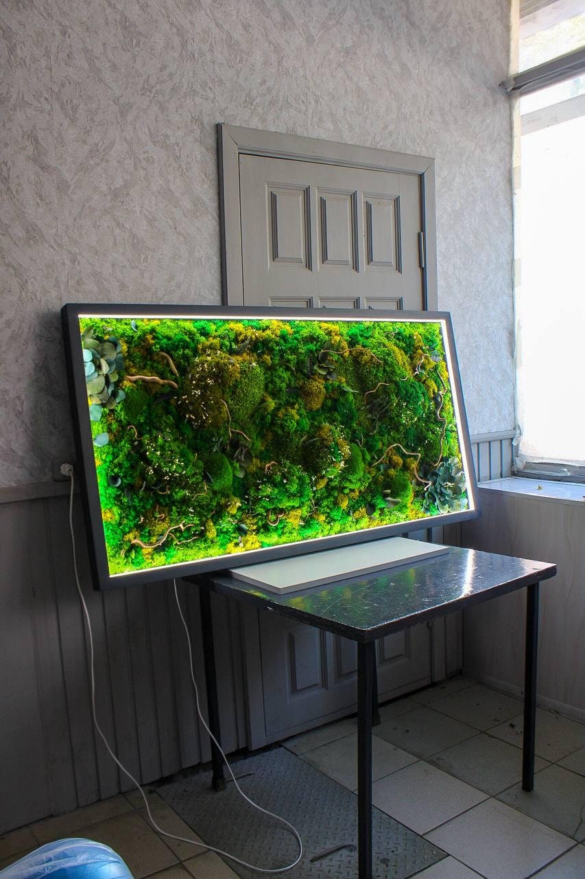 Bright LED Moss Wall Art Ferns, Eucalyptus, Dried Flowers & Branches, Eco-Friendly Nature Decor, Unique Botanical Piece | VARIOUS SIZES