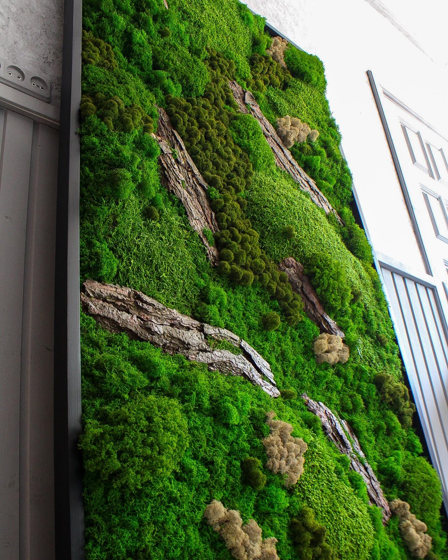 Forest Blend: Preserved Moss & Bark Wall Art | Earthy Botanical Decor, No Maintenance