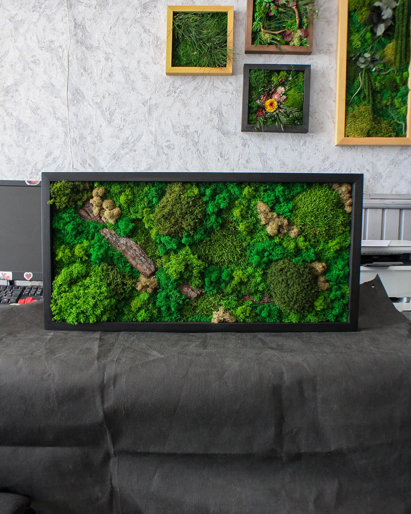 Artisan Moss & Bark Wall Art | Sustainable Home Decor