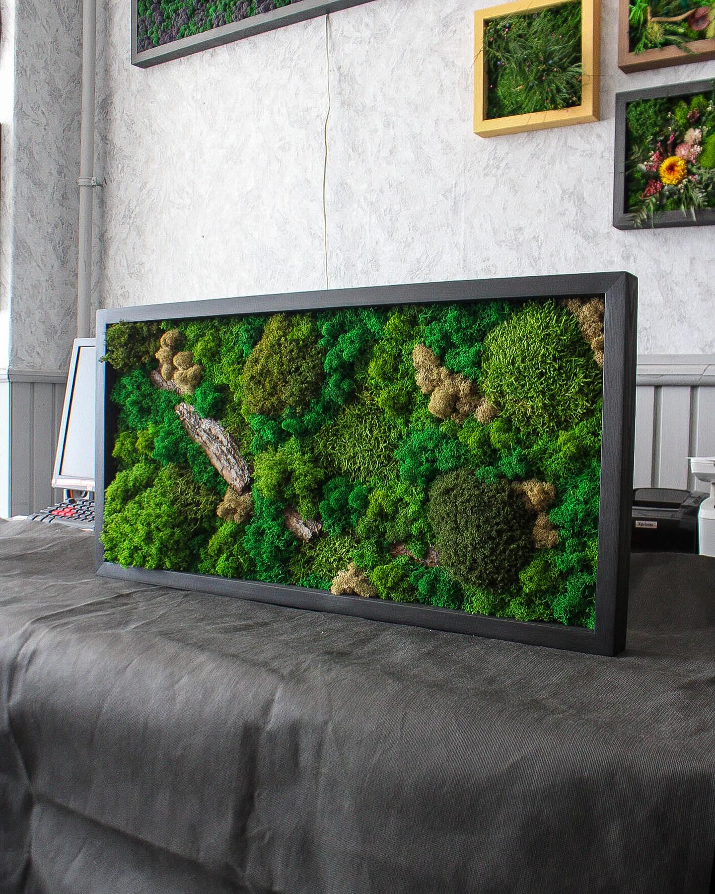 Artisan Moss & Bark Wall Art | Sustainable Home Decor