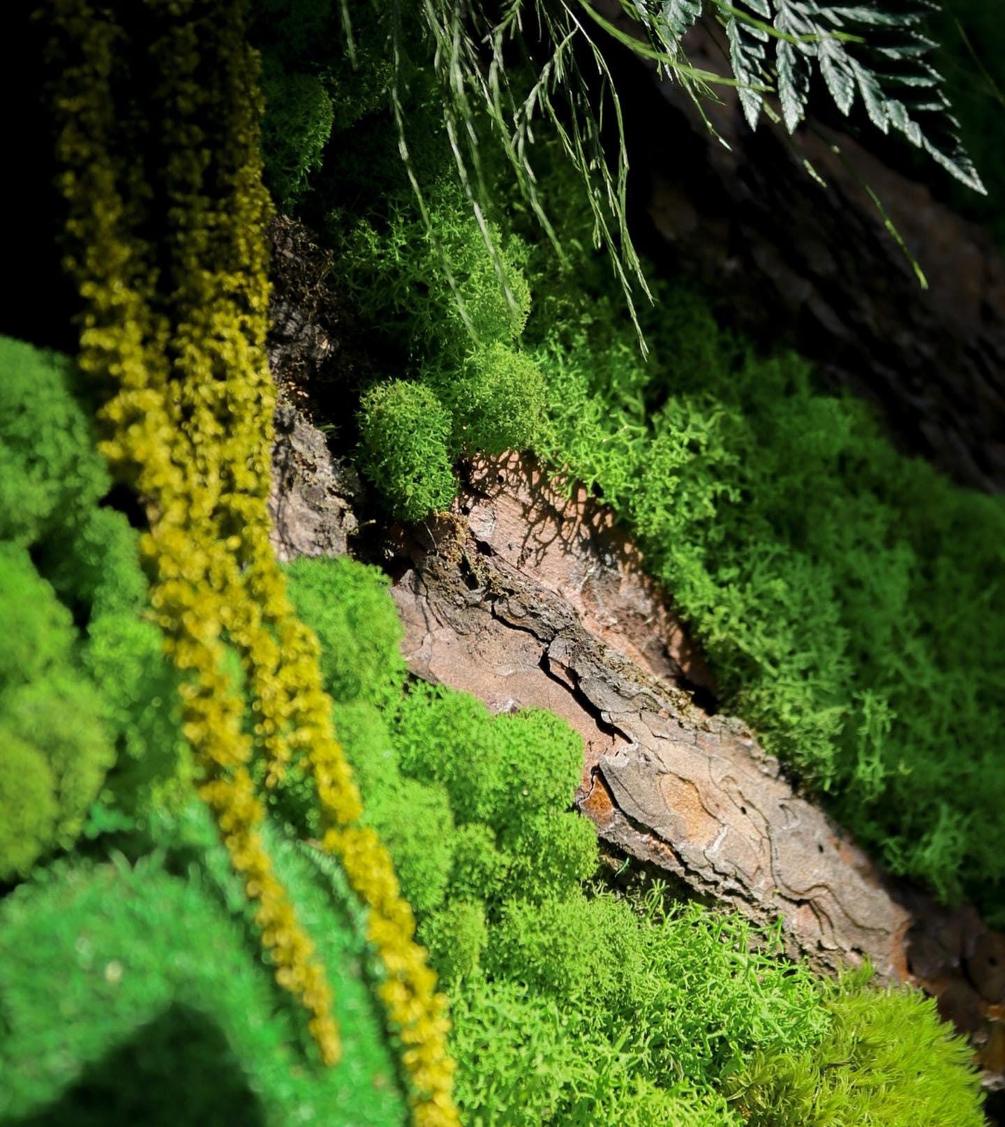 Moss Wood Art, Verdant Symphony: Moss, Bark, Fern & Tiks Grass Wall Art | Handmade Nature-Inspired Botanical Decor, Eco-Friendly