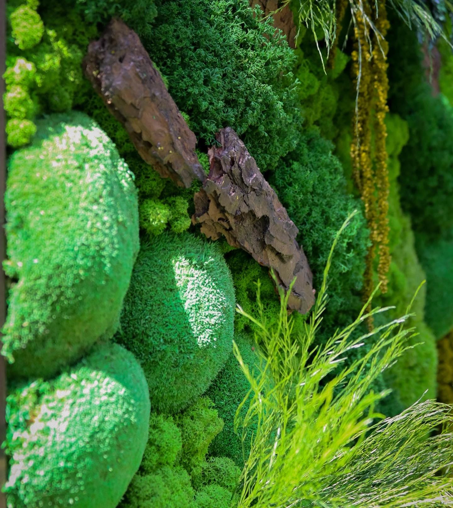 Moss Wood Art, Verdant Symphony: Moss, Bark, Fern & Tiks Grass Wall Art | Handmade Nature-Inspired Botanical Decor, Eco-Friendly