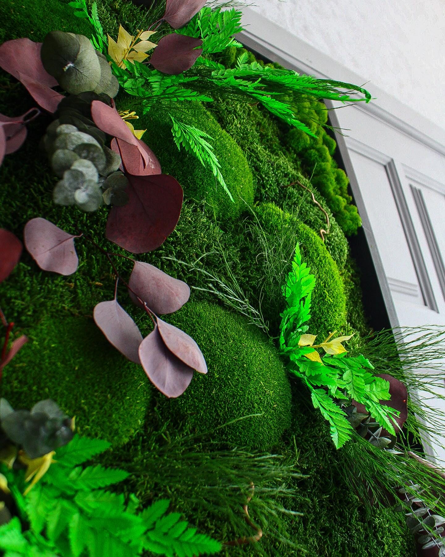 Nature’s Harmony Moss Art - Preserved Moss, Eucalyptus, Fern, Dried Flowers & Branches Wall Decor | Rustic Wall Art for Home or Office