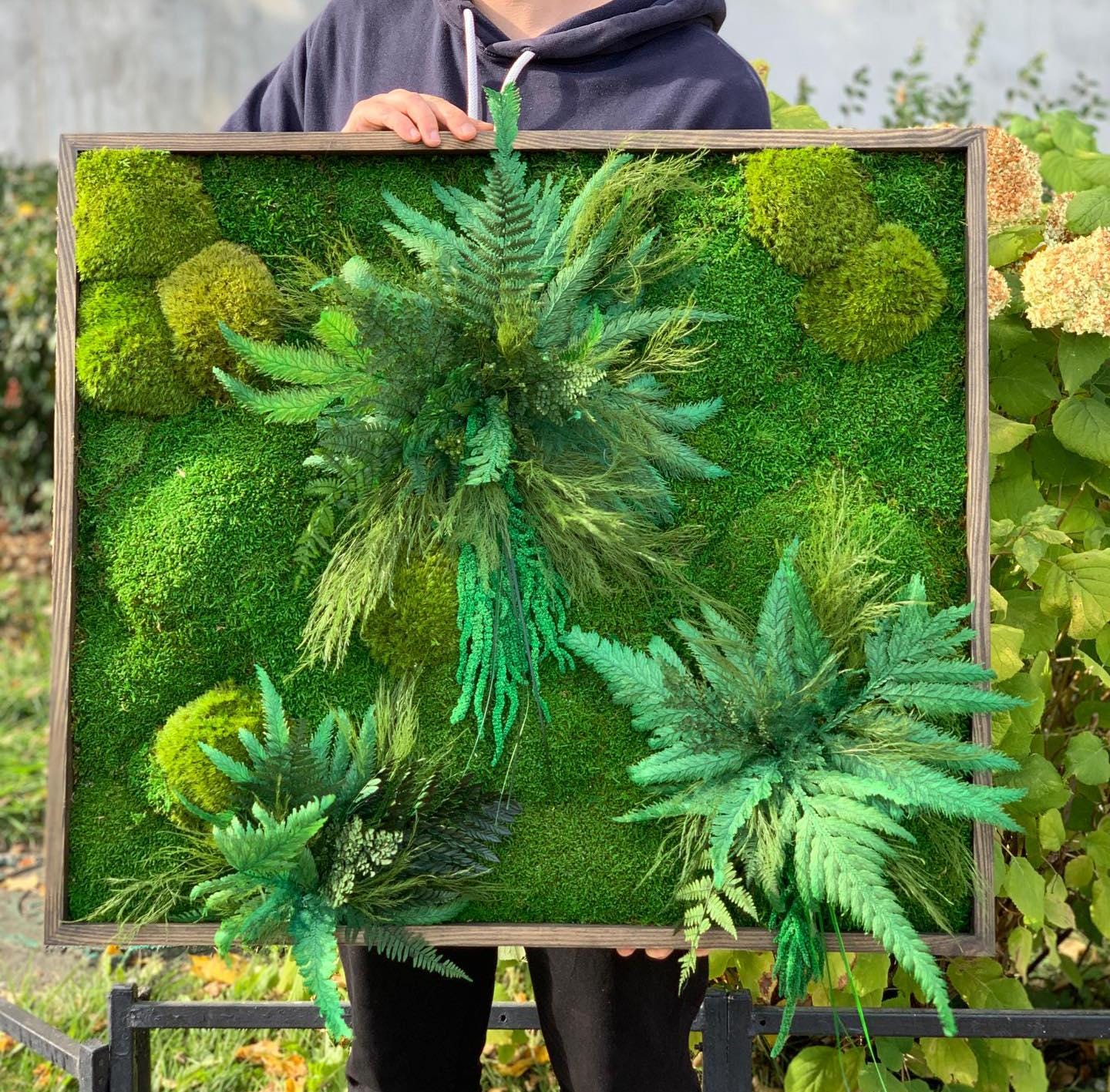 Moss Preserved Wall Art Enchanting Moss & Fern Wall Art - Preserved Nature Decor with Amaranth Accents | Customizable Sizes for Every Space