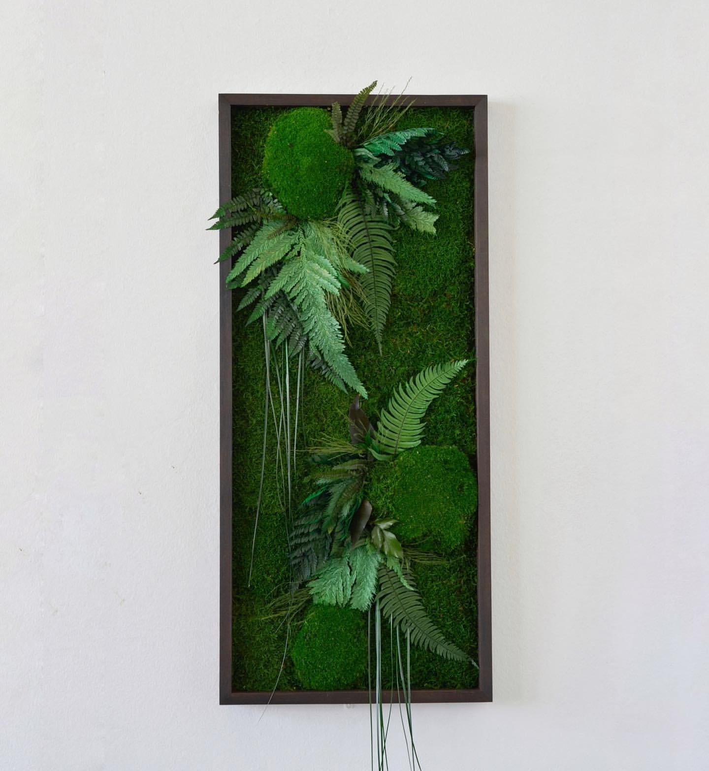 Square Framed Moss Wall Art, Wall Accent for Spa, Office, or Home | CAREFREE | VARIOUS-SIZE