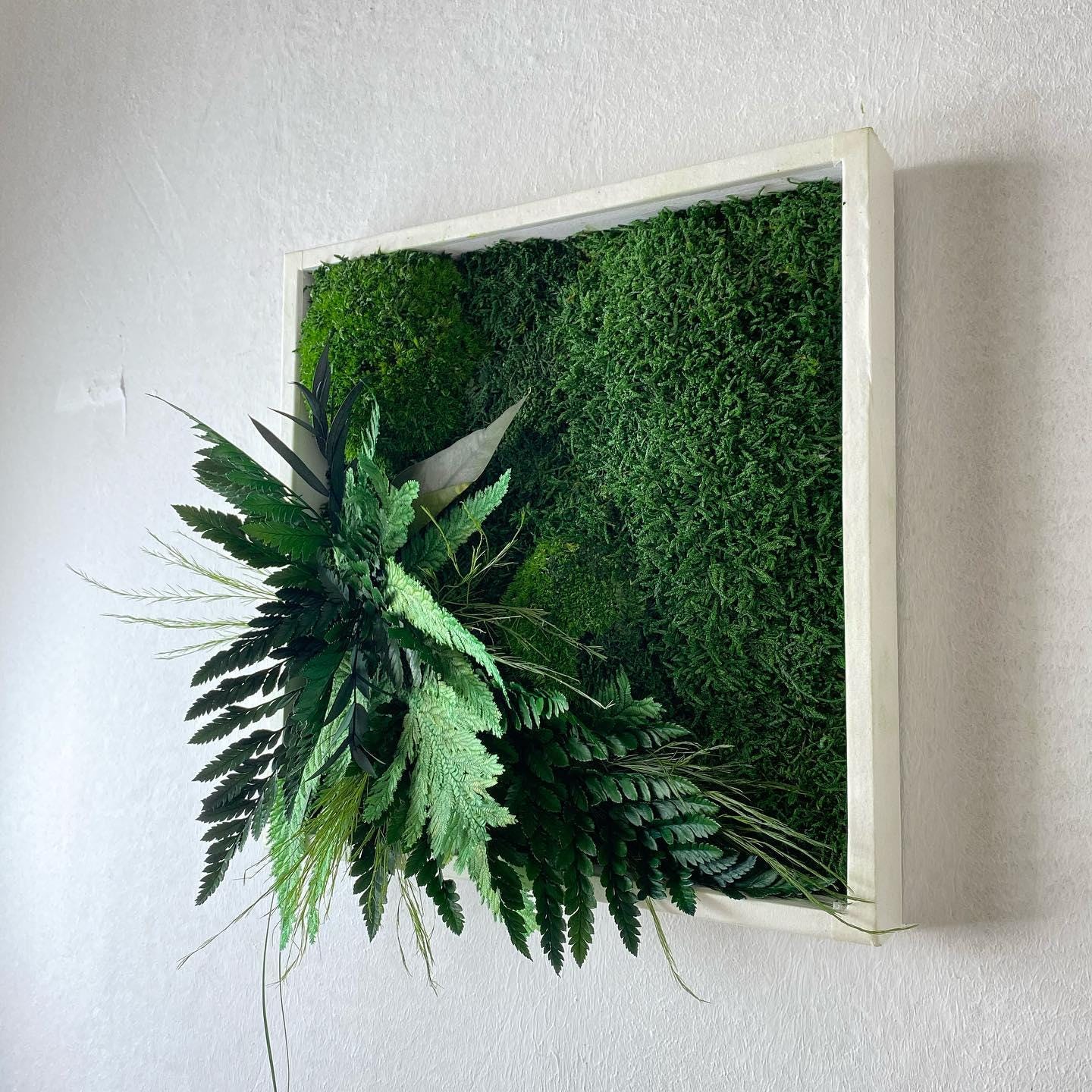Square Framed Moss Wall Art, Wall Accent for Spa, Office, or Home | CAREFREE | VARIOUS-SIZE