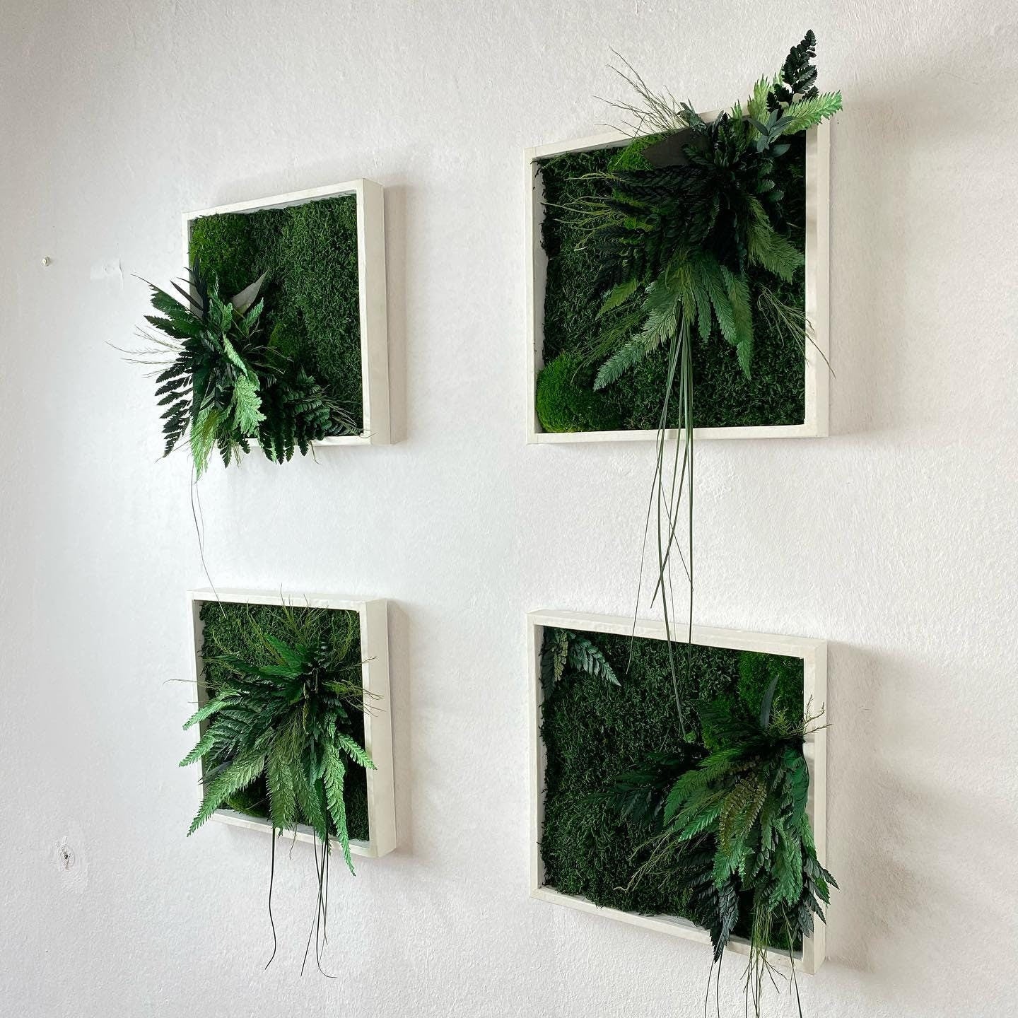 Square Framed Moss Wall Art, Wall Accent for Spa, Office, or Home | CAREFREE | VARIOUS-SIZE