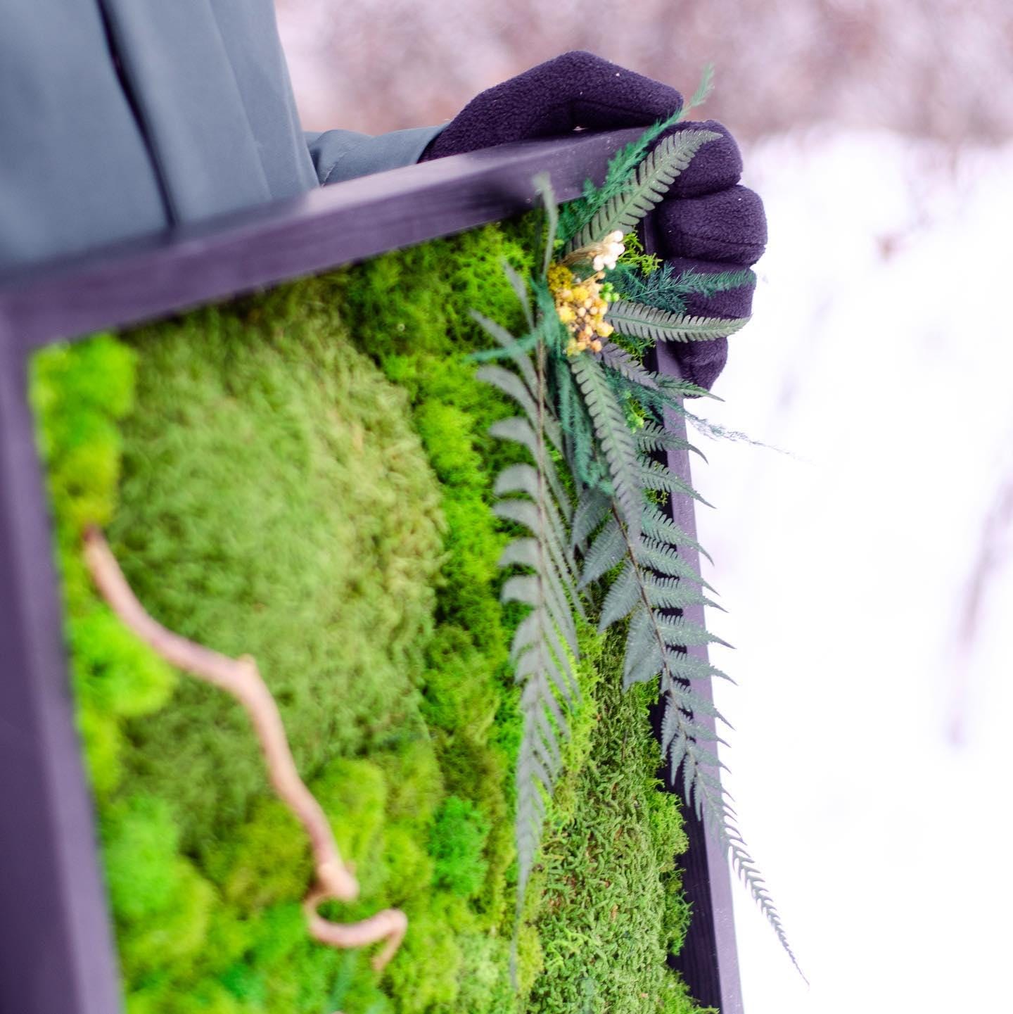 Lush Moss & Branches Art: Vibrant Ferns, Tik Grass, Dried Flowers | CAREFREE | VARIOUS-SIZE