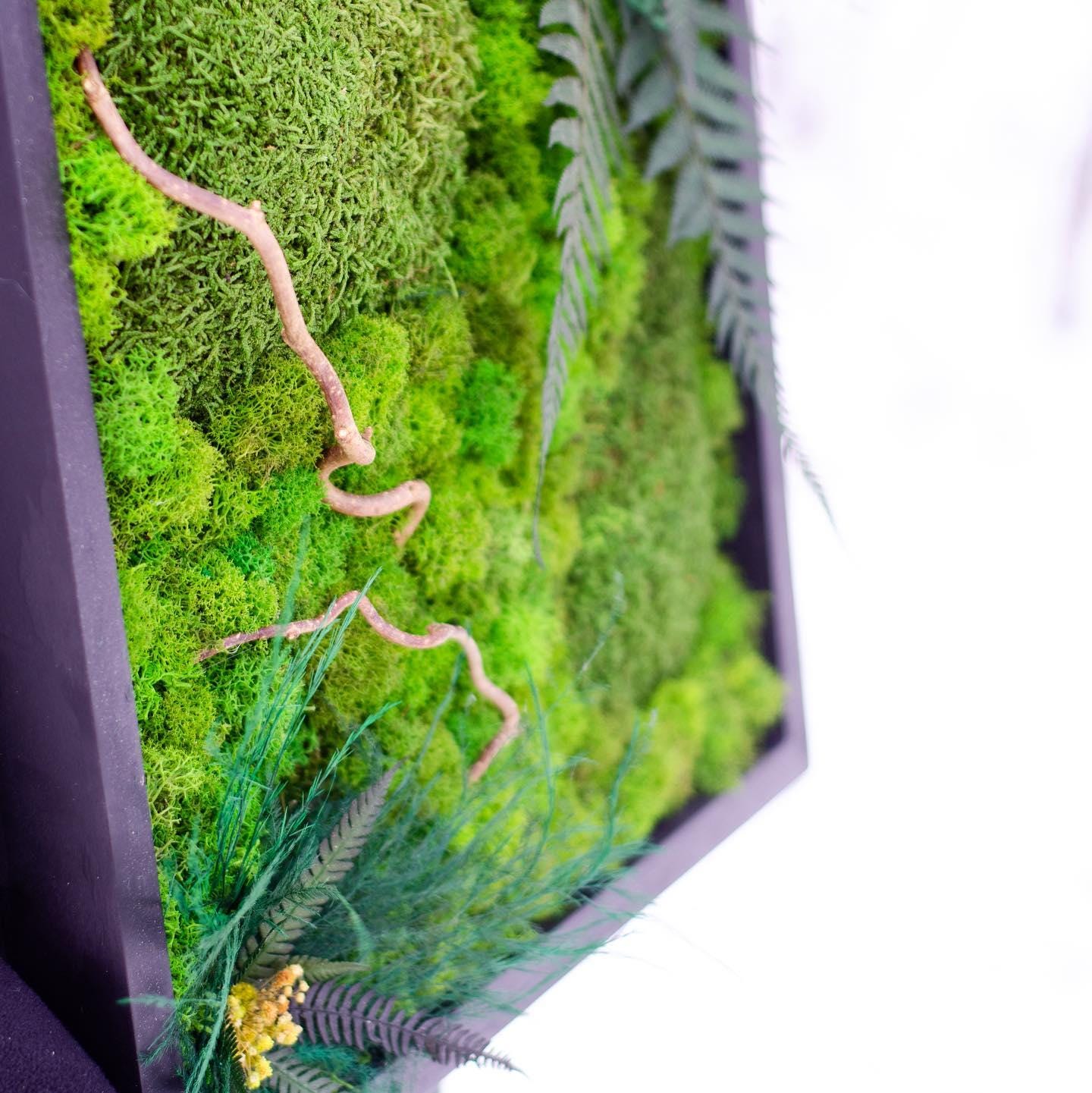 Lush Moss & Branches Art: Vibrant Ferns, Tik Grass, Dried Flowers | CAREFREE | VARIOUS-SIZE