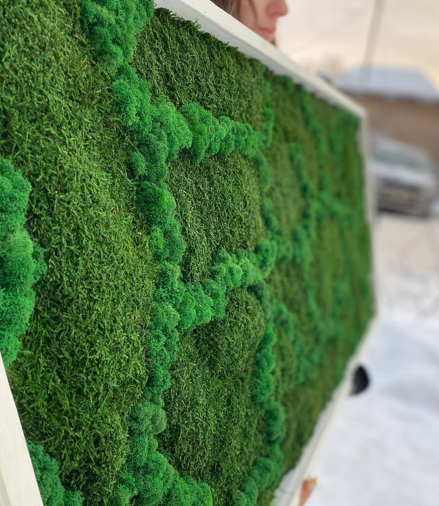 Mossy Wonderland: Unique Mix of Preserved Moss, Lichens & Flat Greenery Art, CAREFREE | VARIOUS-SIZE