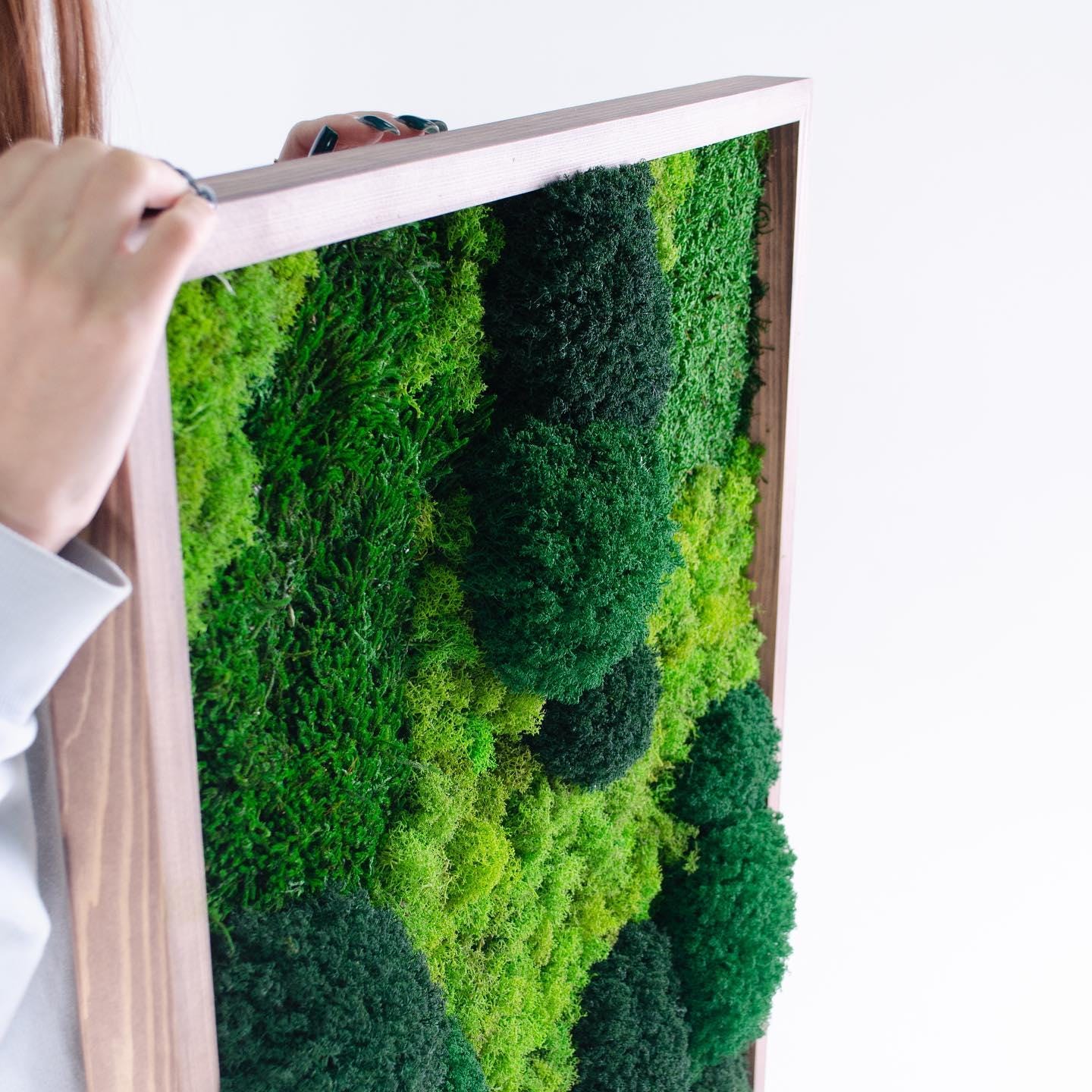 Tranquil Nature Escape: Unique Mix of Preserved Moss, Lichens, & Flat Greenery Wall Art, CAREFREE | VARIOUS-SIZE