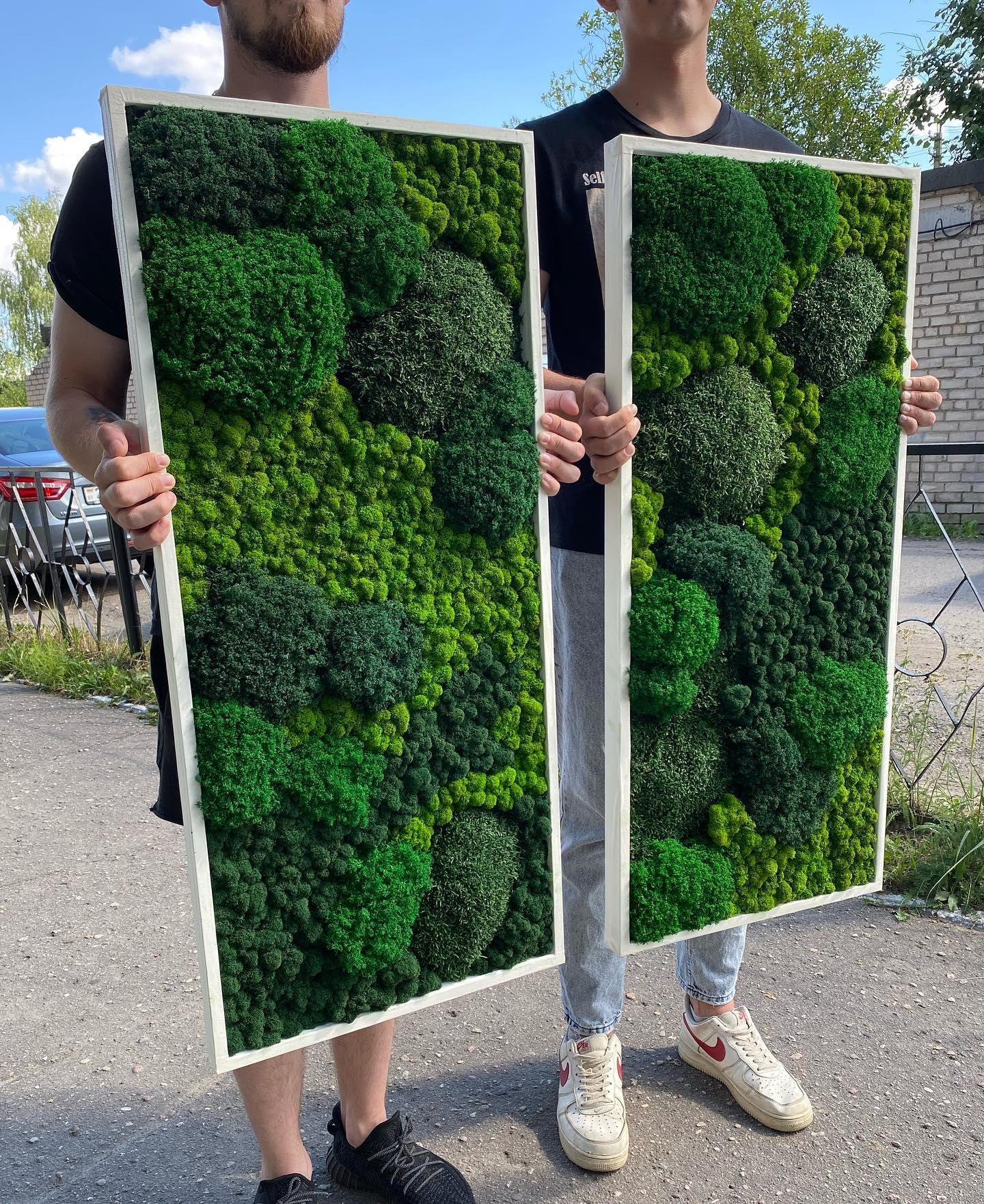 Tranquil Nature Escape: Unique Mix of Preserved Moss, Lichens, & Flat Greenery Wall Art, CAREFREE | VARIOUS-SIZE